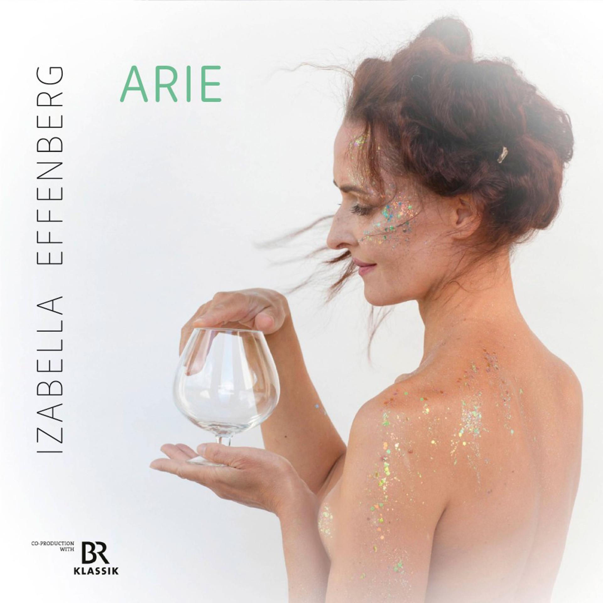 Постер альбома Arie