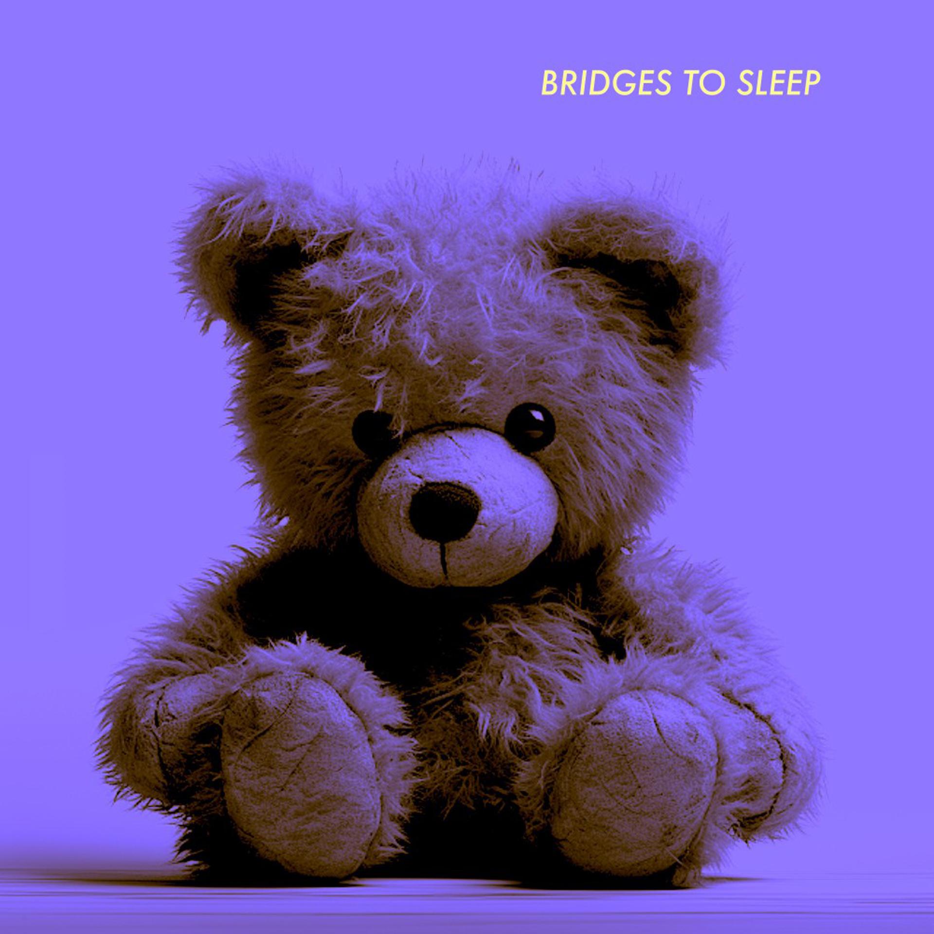 Постер альбома Bridges to Sleep