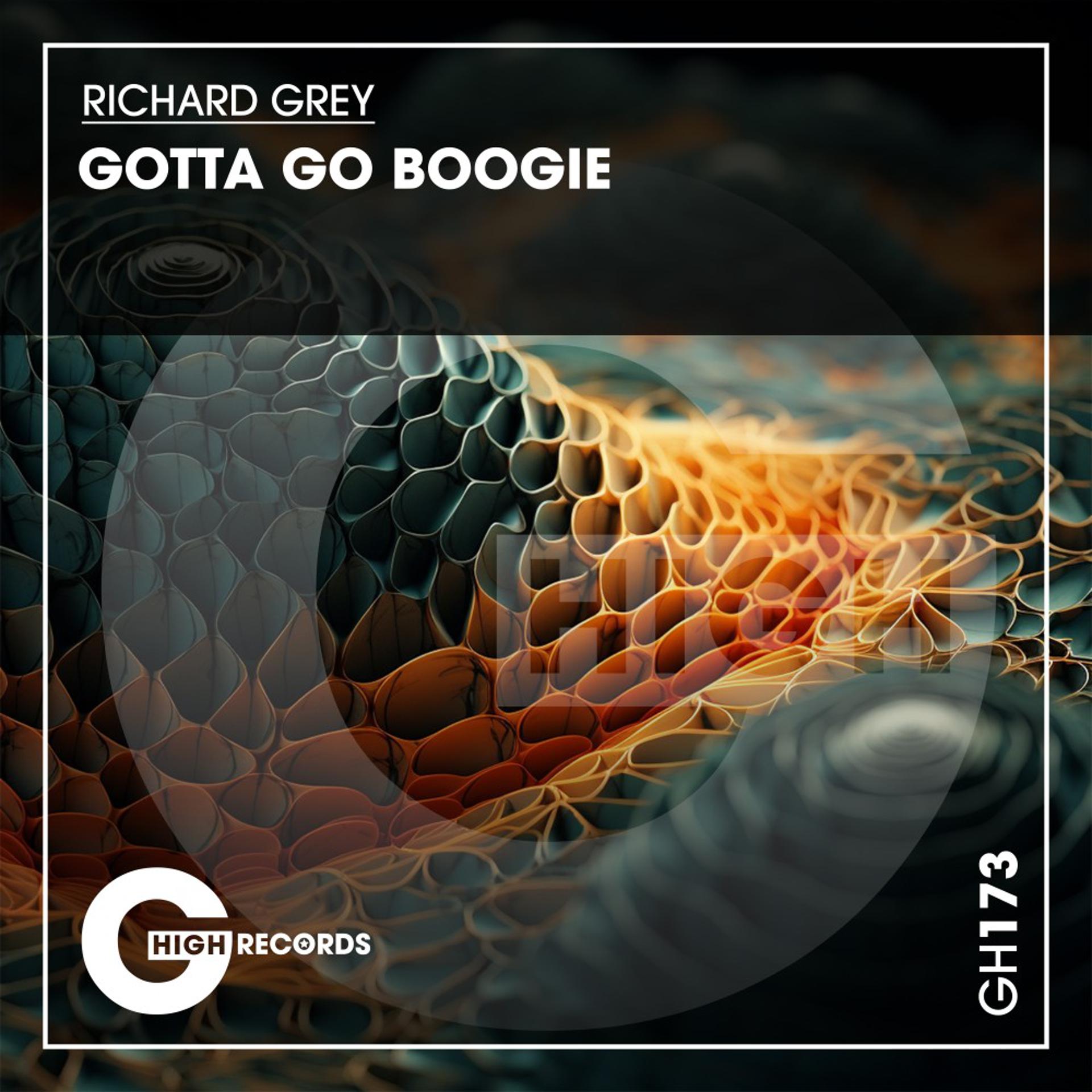 Постер альбома Gotta Go Boogie Richard Grey