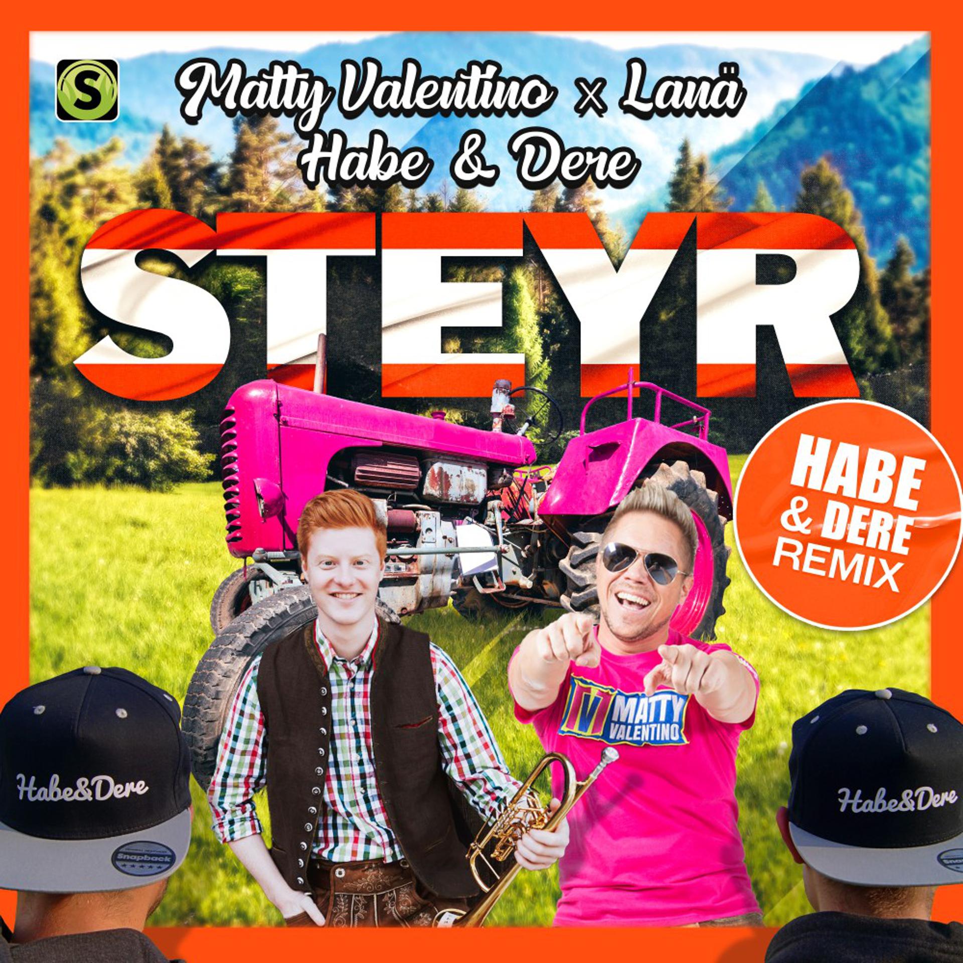 Постер альбома Steyr (Habe & Dere Remix)