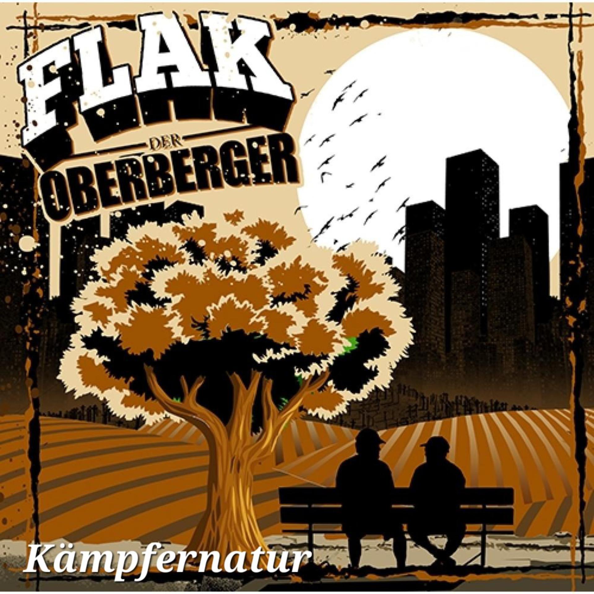 Постер альбома Kämpfernatur