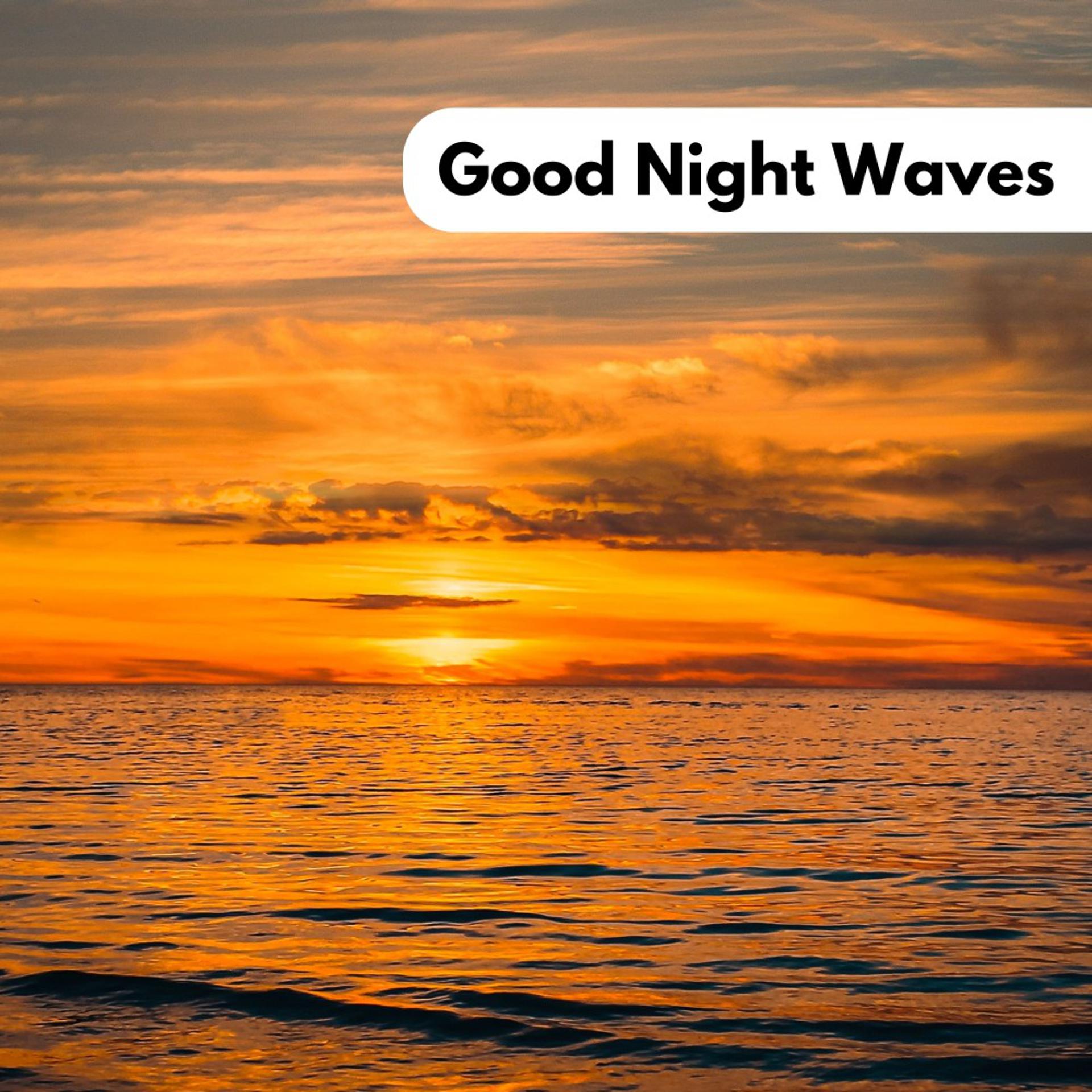 Постер альбома Good Night Waves