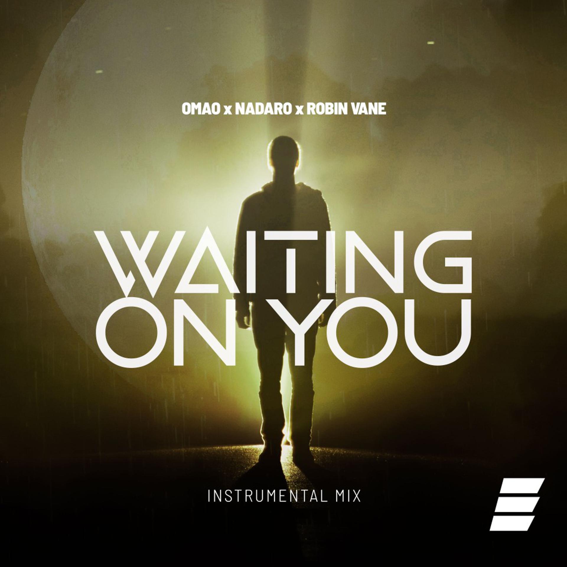Постер альбома Waiting on You (Instrumental Mix)