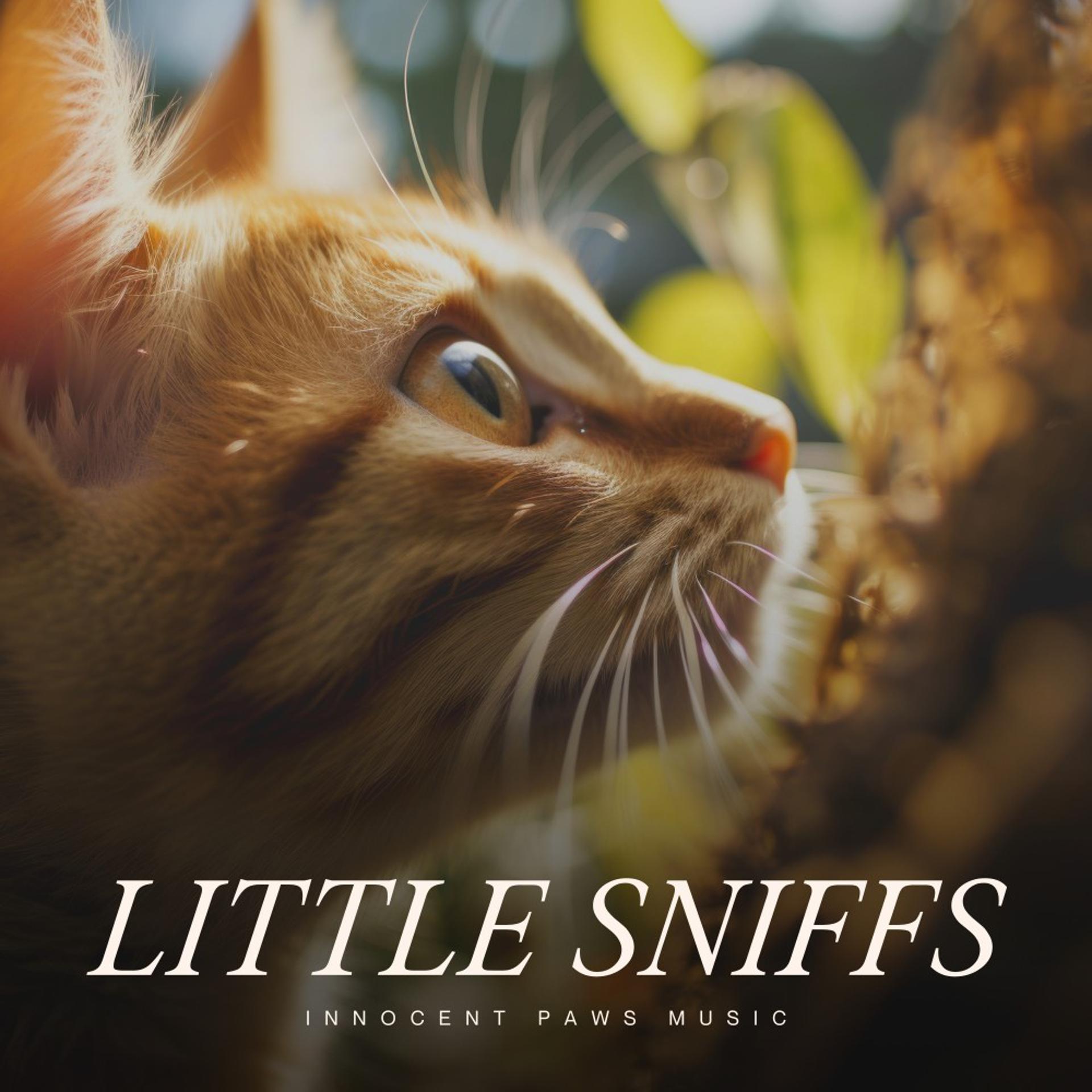 Постер альбома Little Sniffs