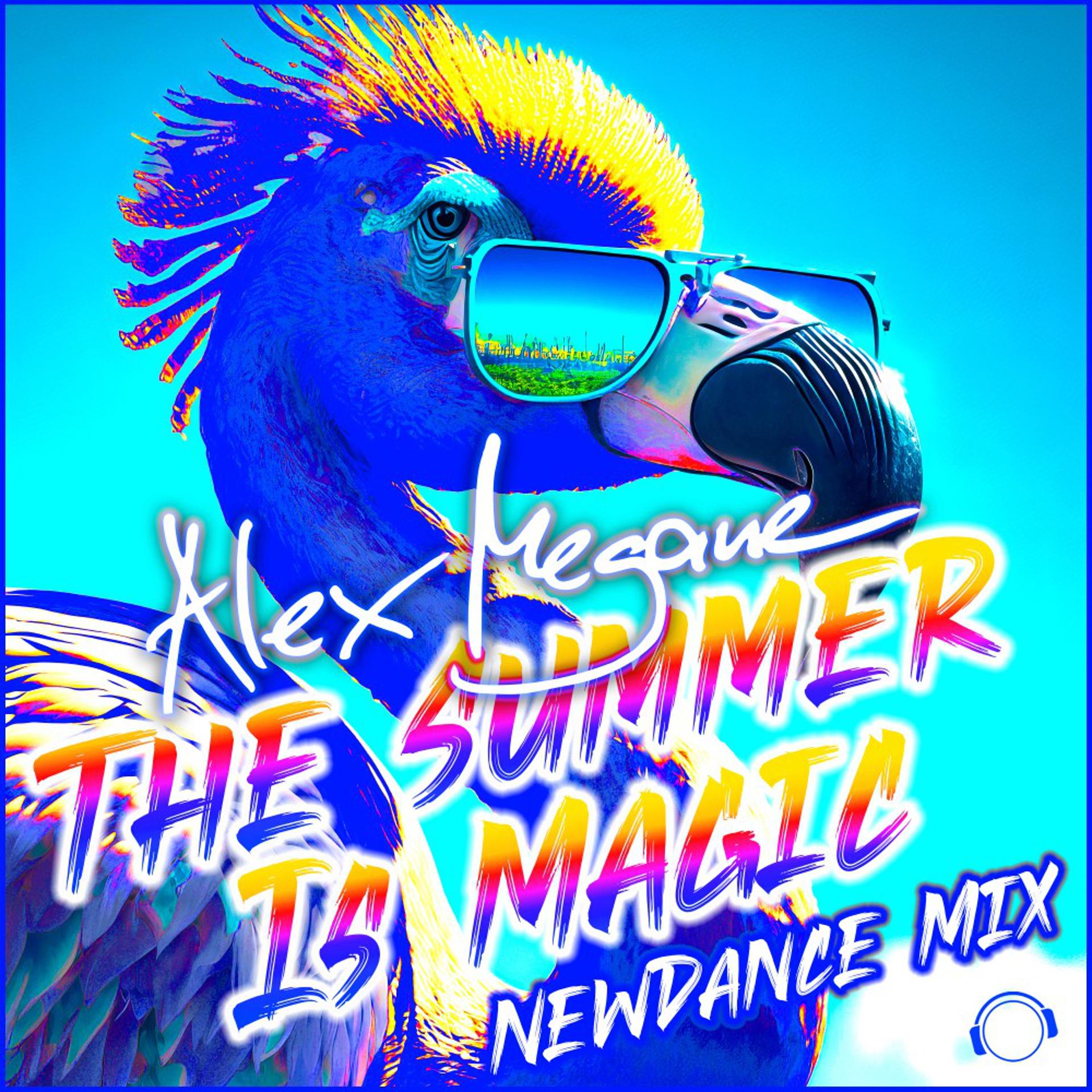 Постер альбома The Summer Is Magic (NewDance Mix)