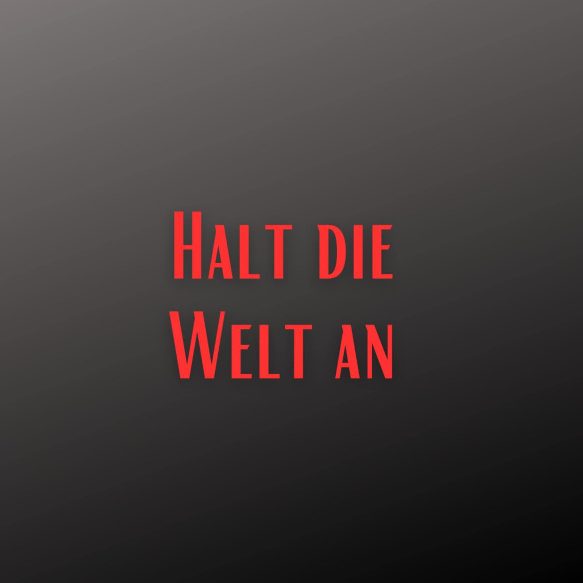 Постер альбома Halt die Welt an (Pastiche/Remix/Mashup)