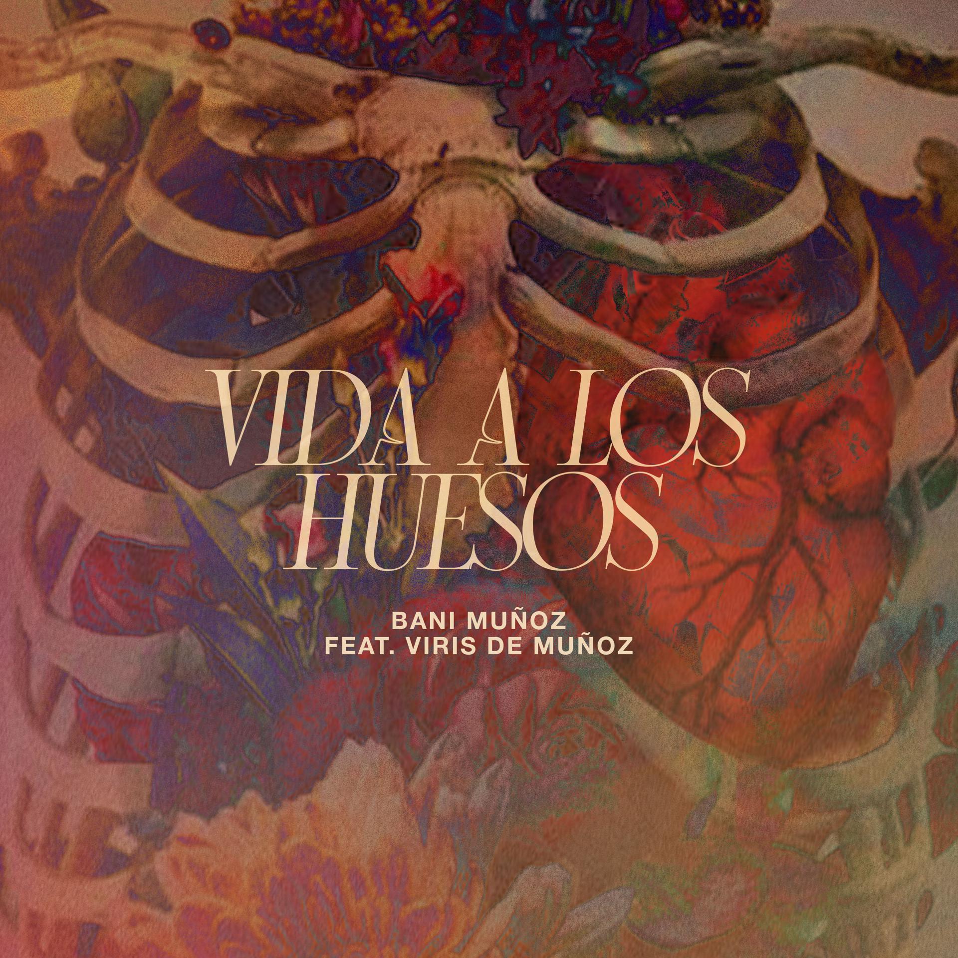 Постер альбома Vida a los Huesos