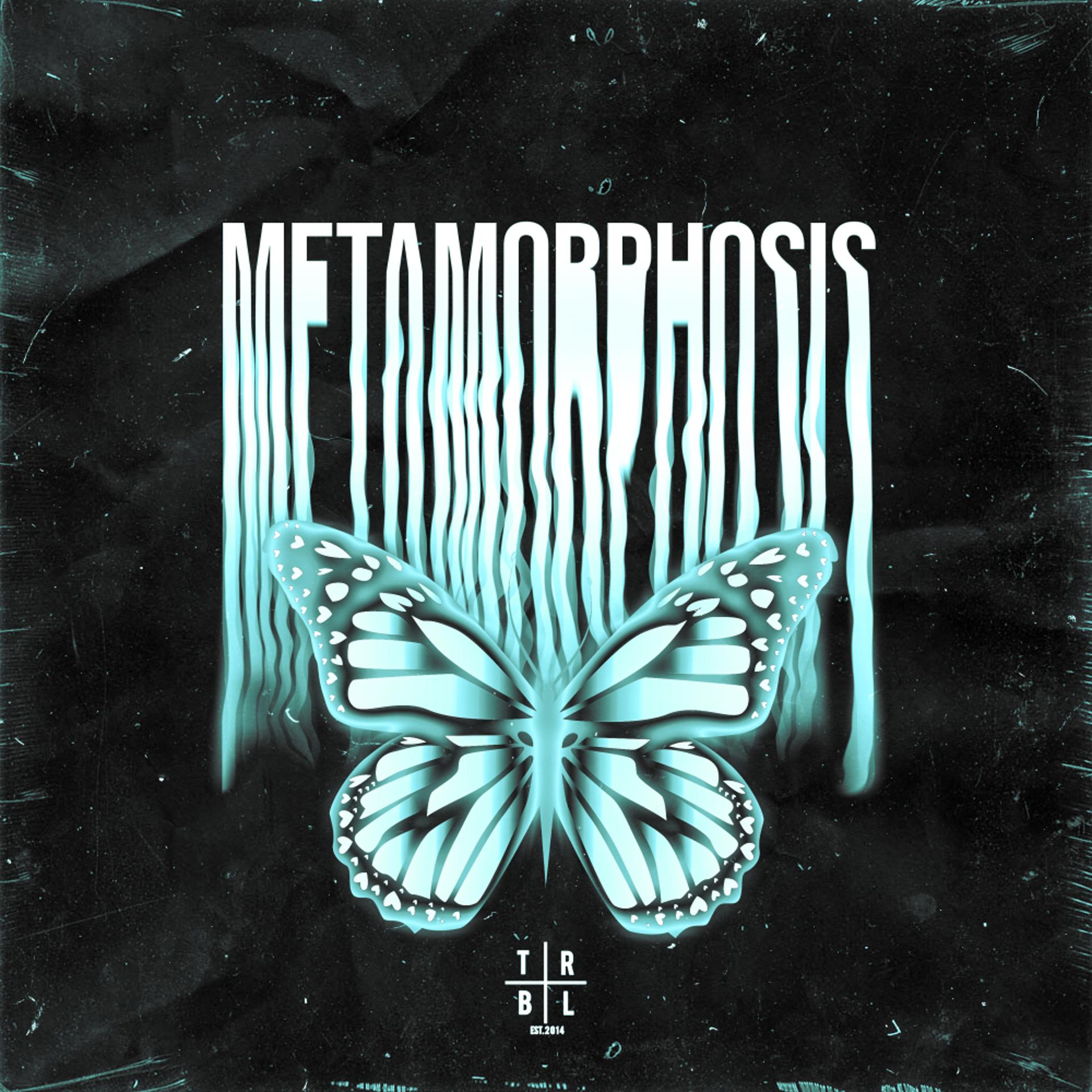 Постер альбома METAMORPHOSIS (Sped Up)