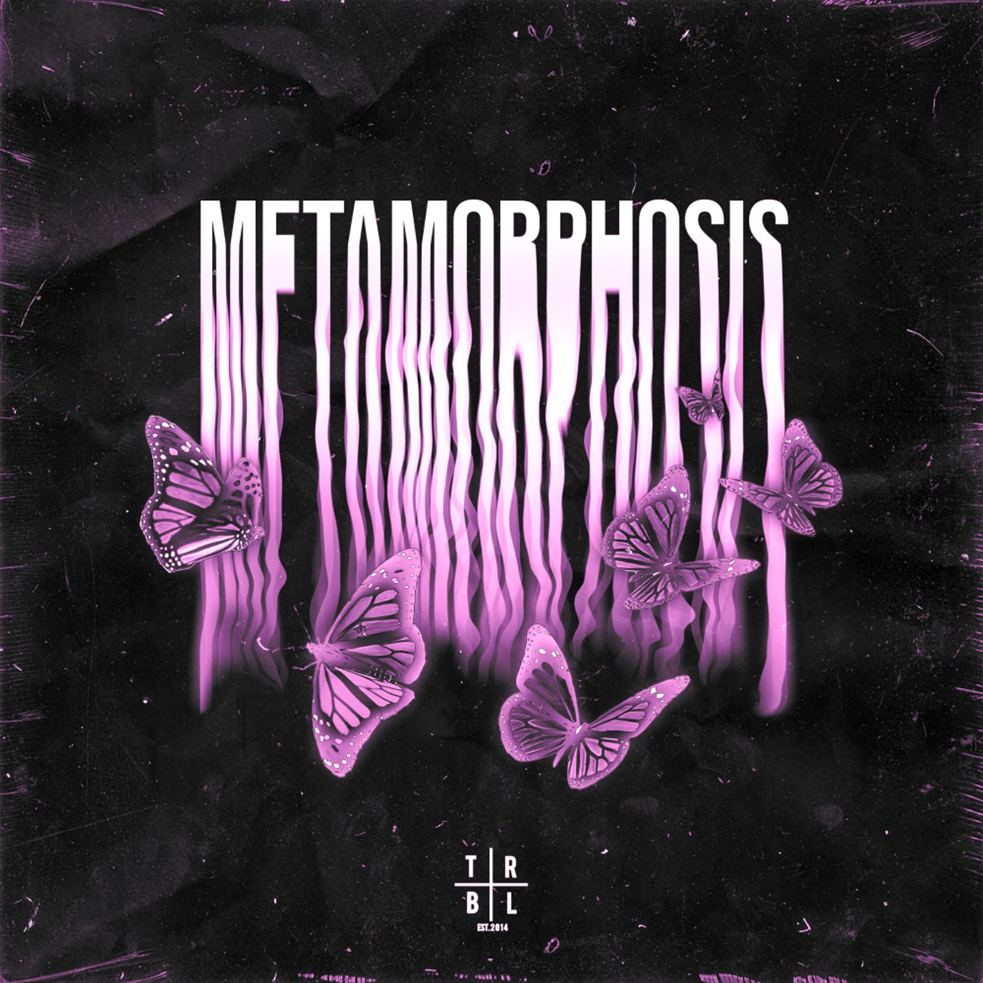 Постер альбома METAMORPHOSIS (Sped Up)