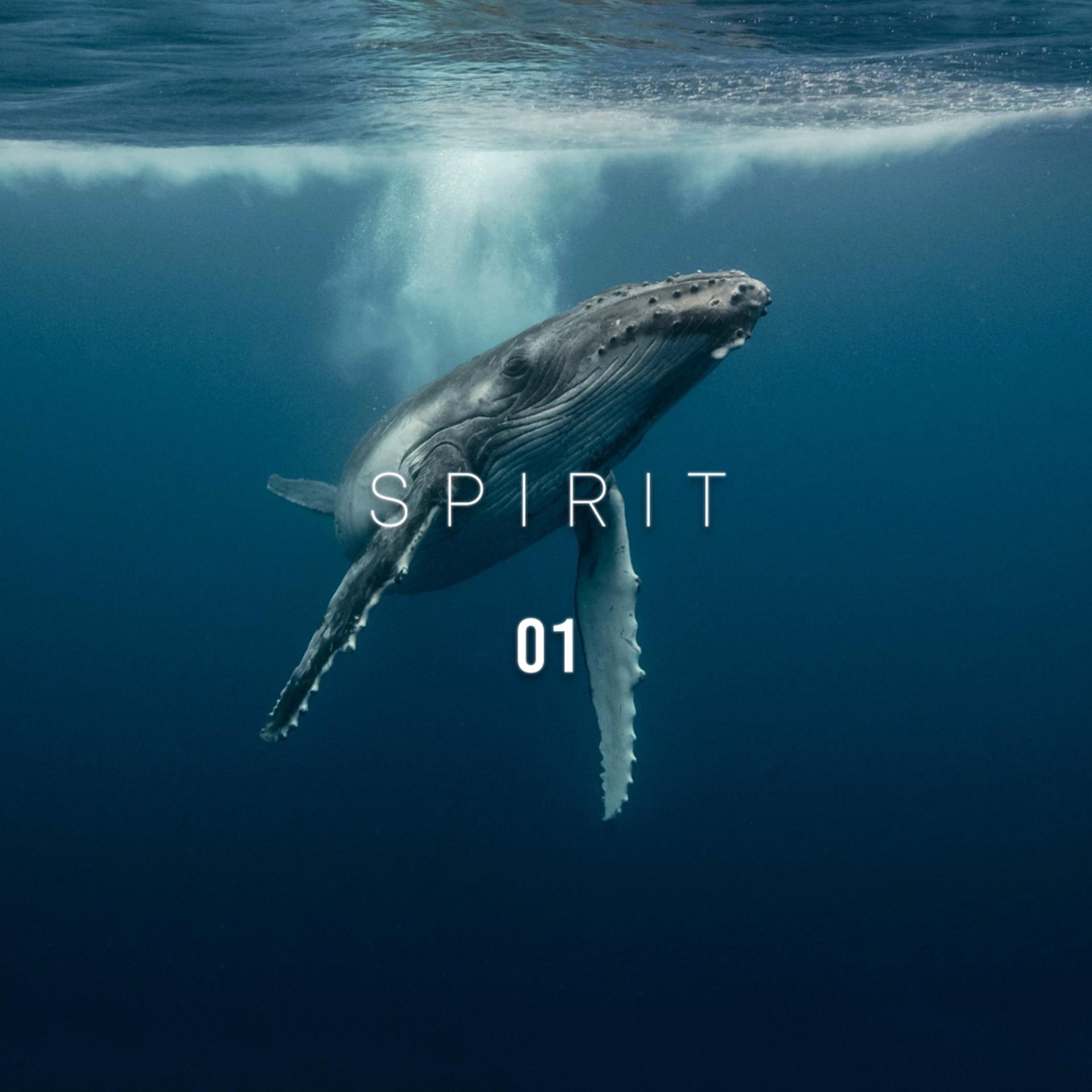 Постер альбома Spirit 01