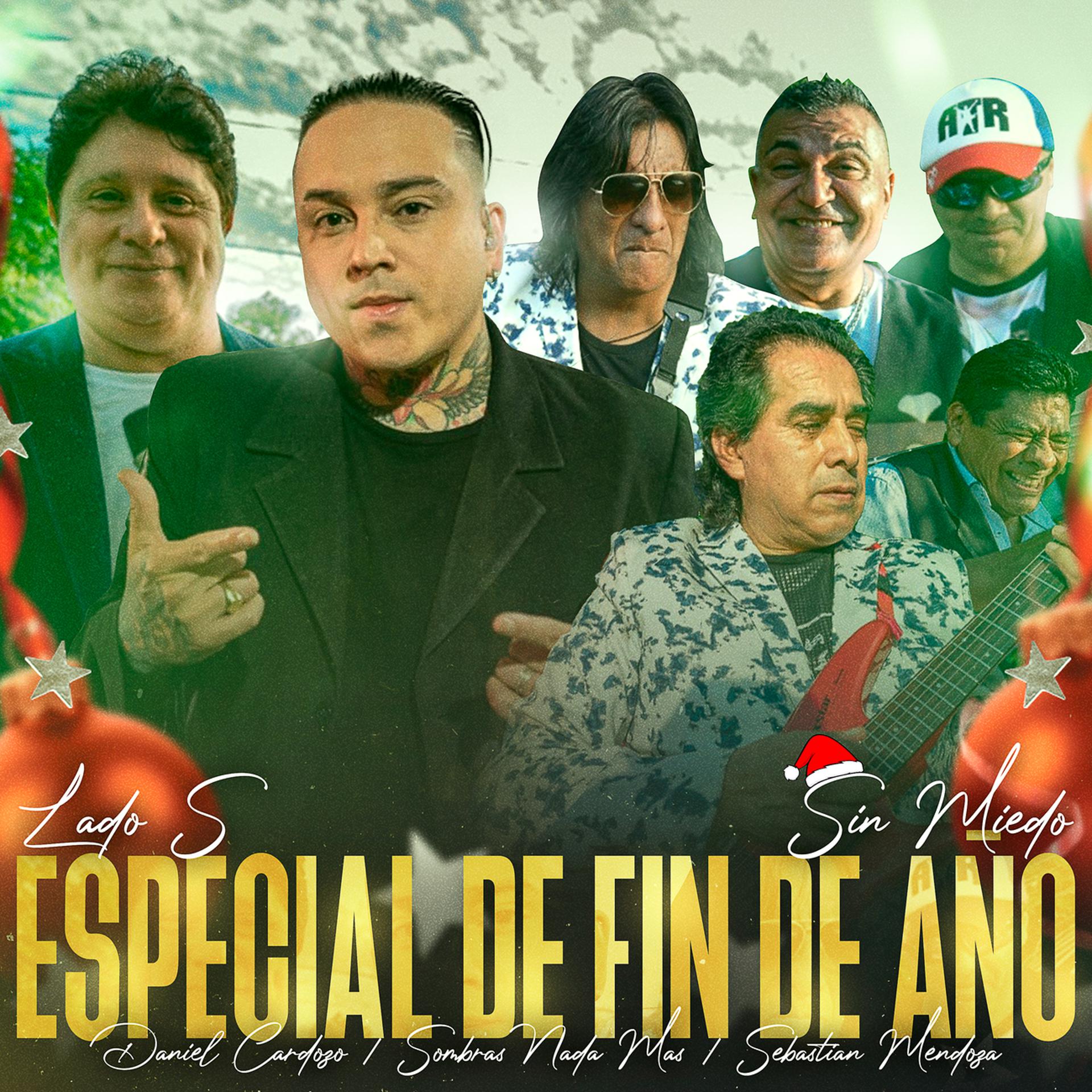 Постер альбома Especial de Fin de Año (Lado S)