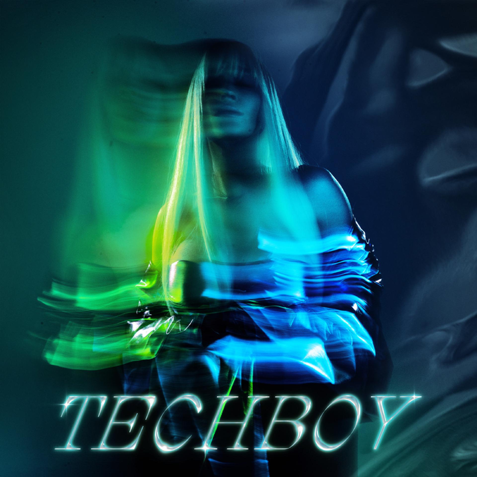 Постер альбома Techboy