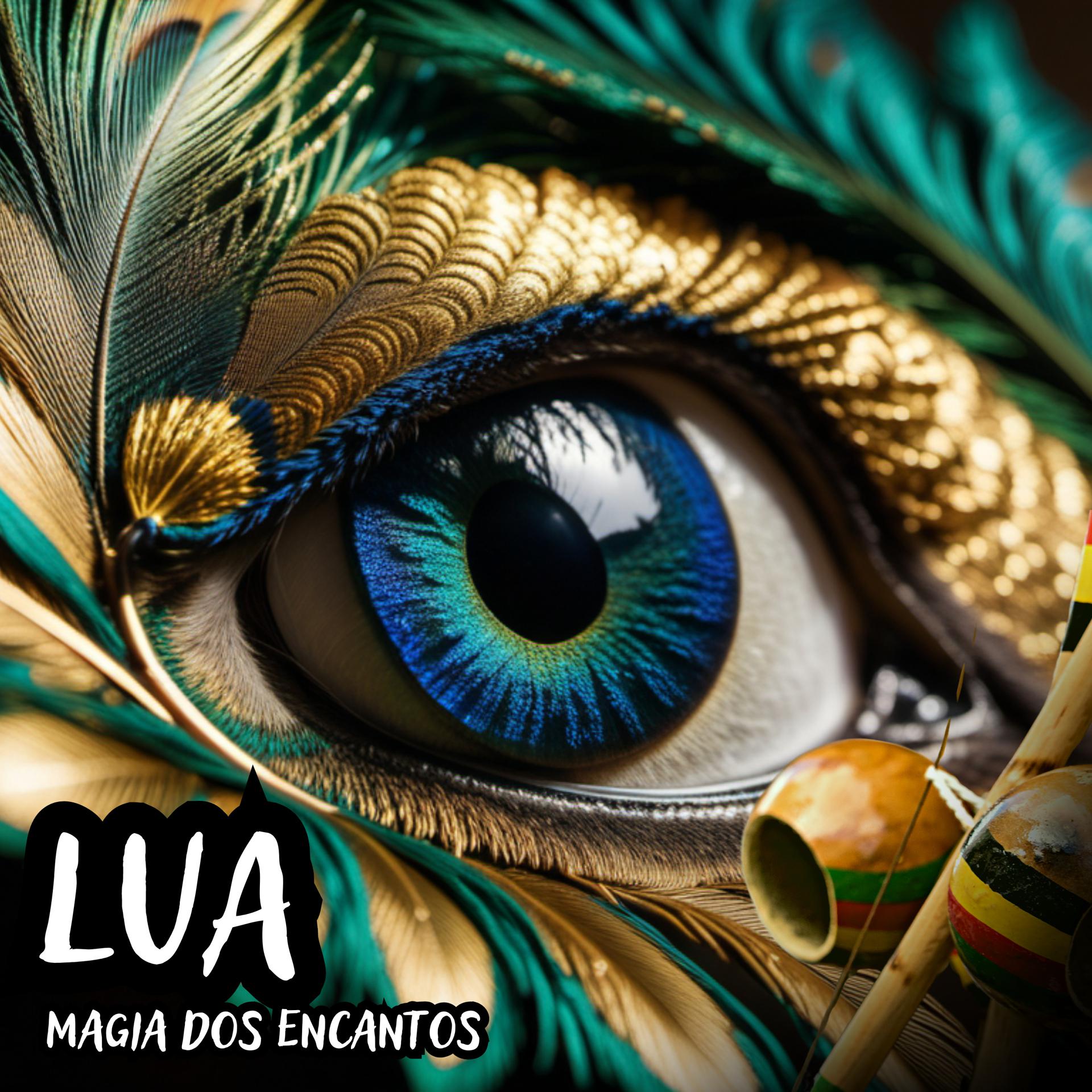Постер альбома Magia dos Encantos