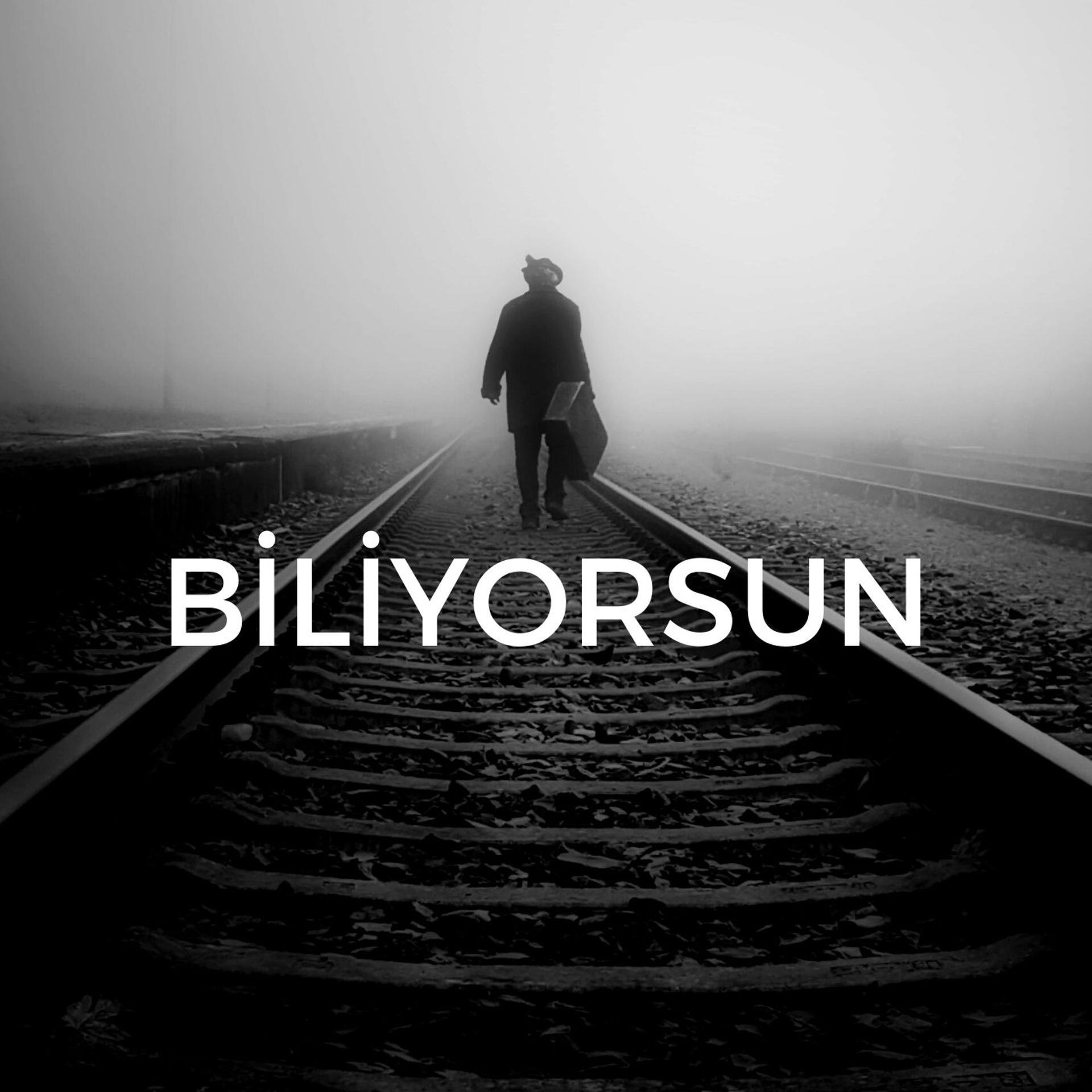 Постер альбома Biliyorsun