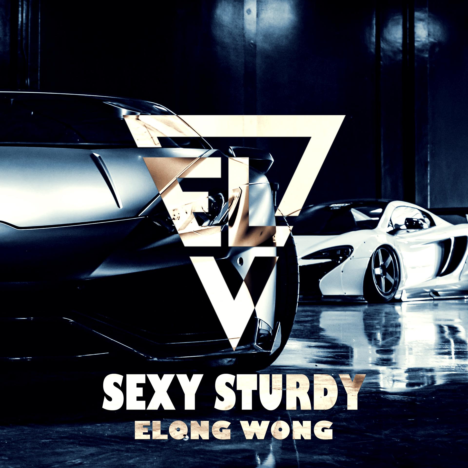 Постер альбома Sexy Sturdy