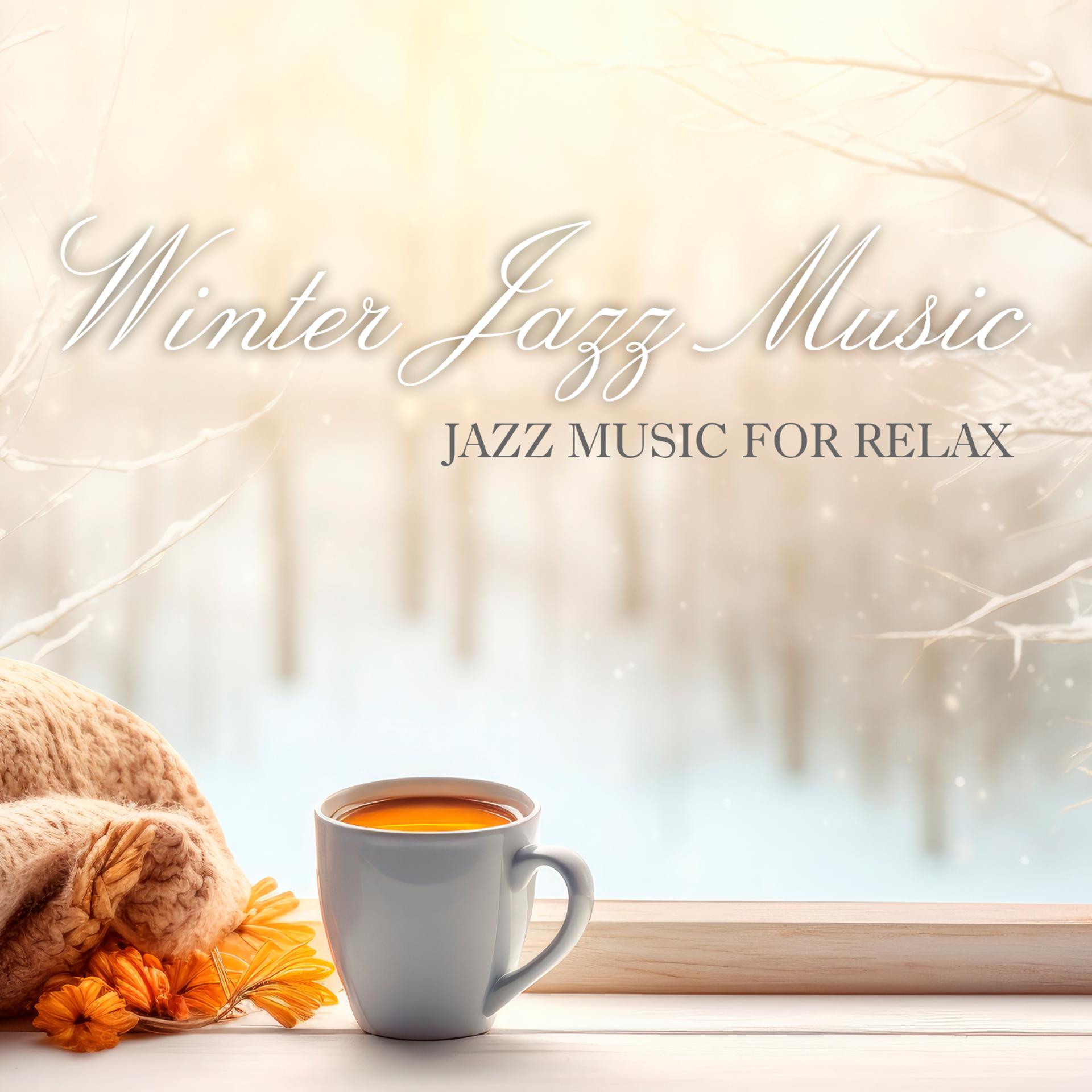 Постер альбома Winter Jazz Music