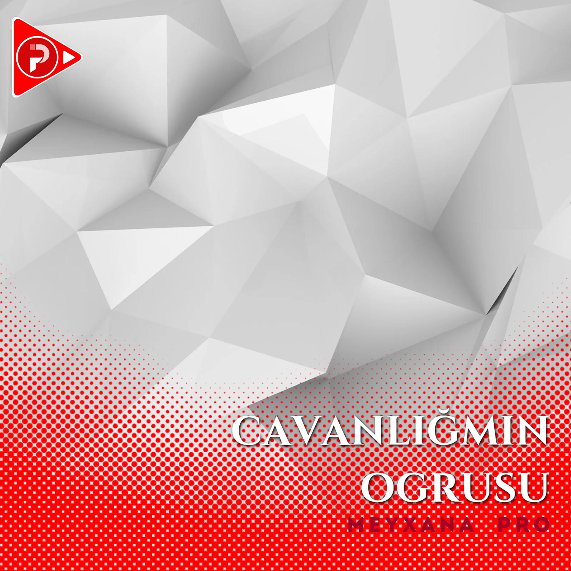 Постер альбома Cavanlığımın Oğrusu