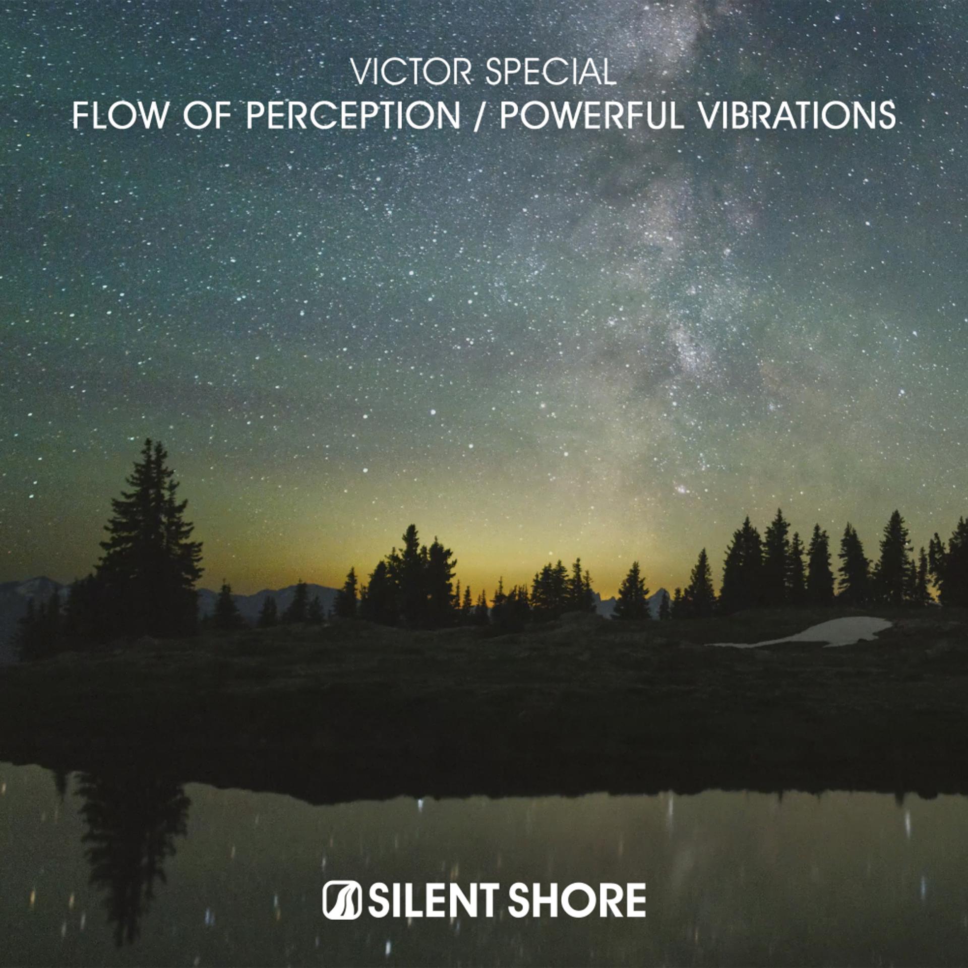 Постер альбома Flow Of Perception / Powerful Vibrations