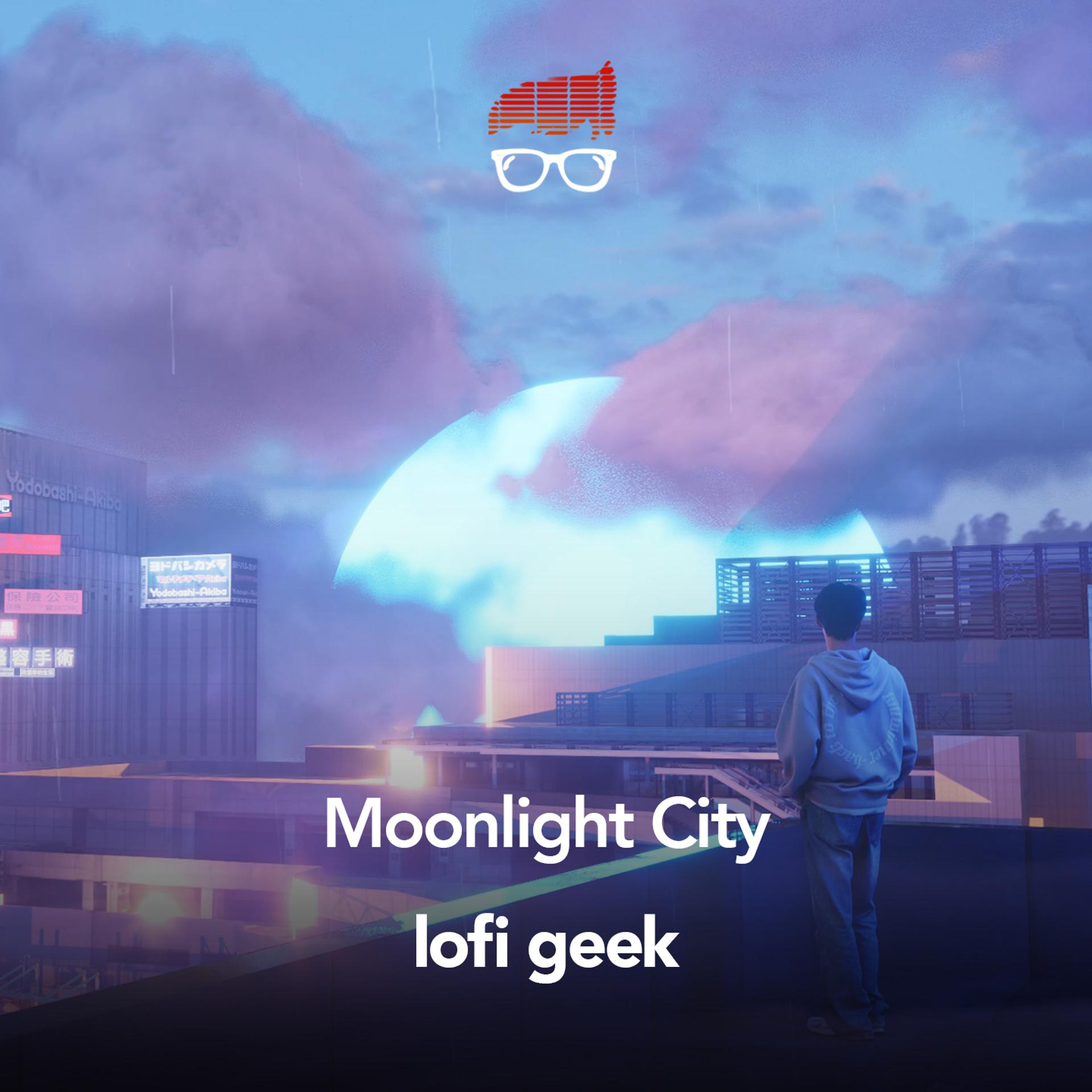 Постер альбома Moonlight City