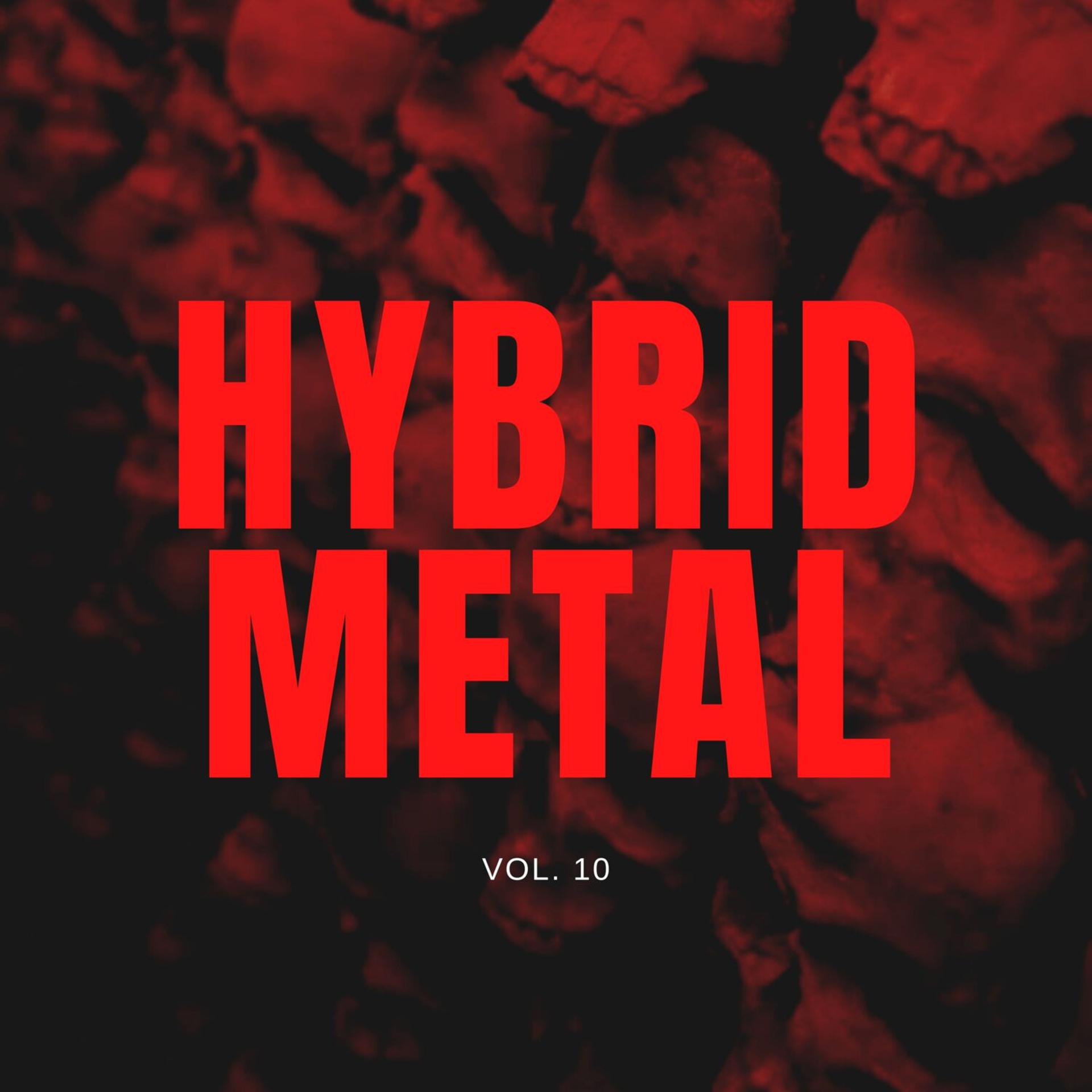Постер альбома Hybrid Metal, Vol. 10