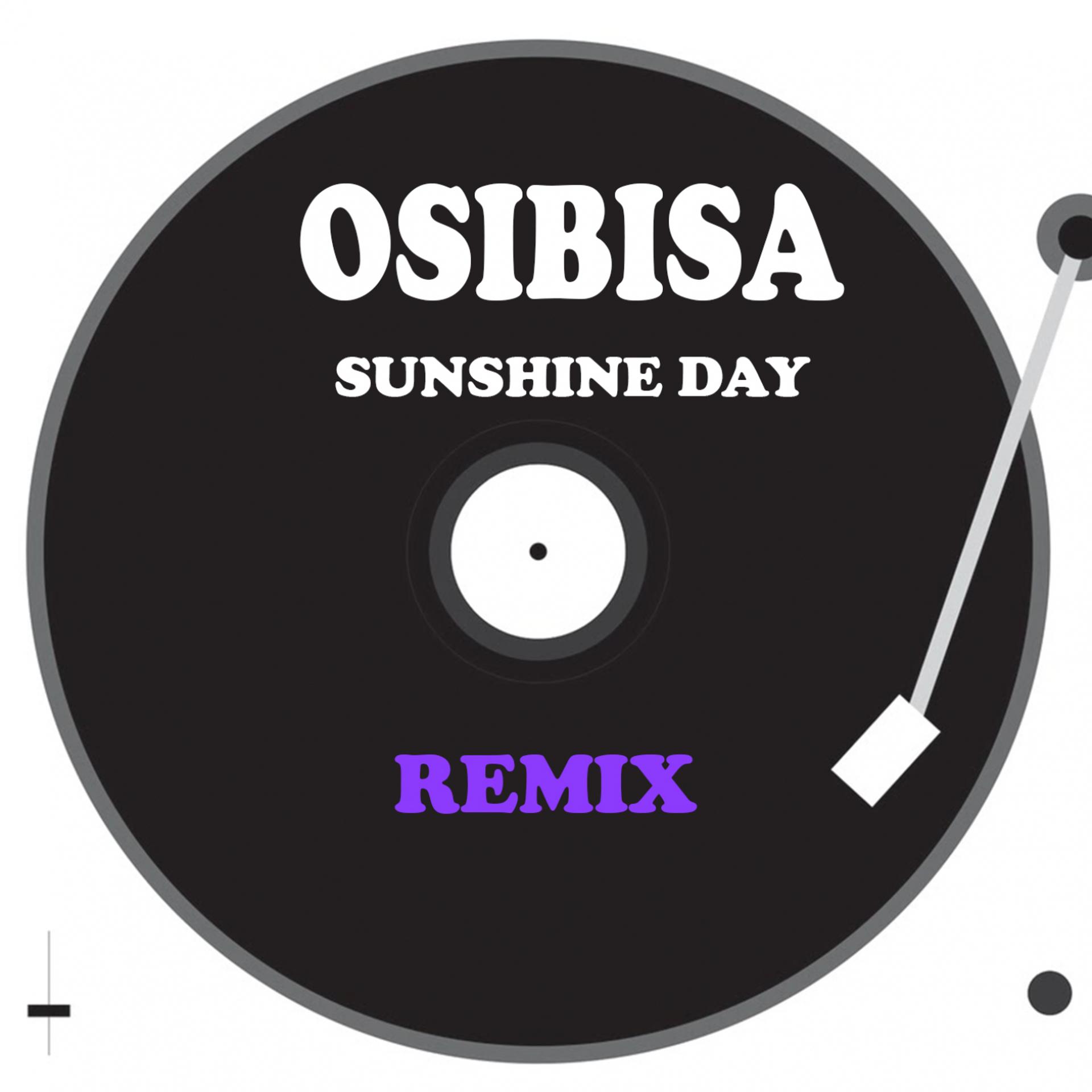 Постер альбома Sunshine Day (Remix)