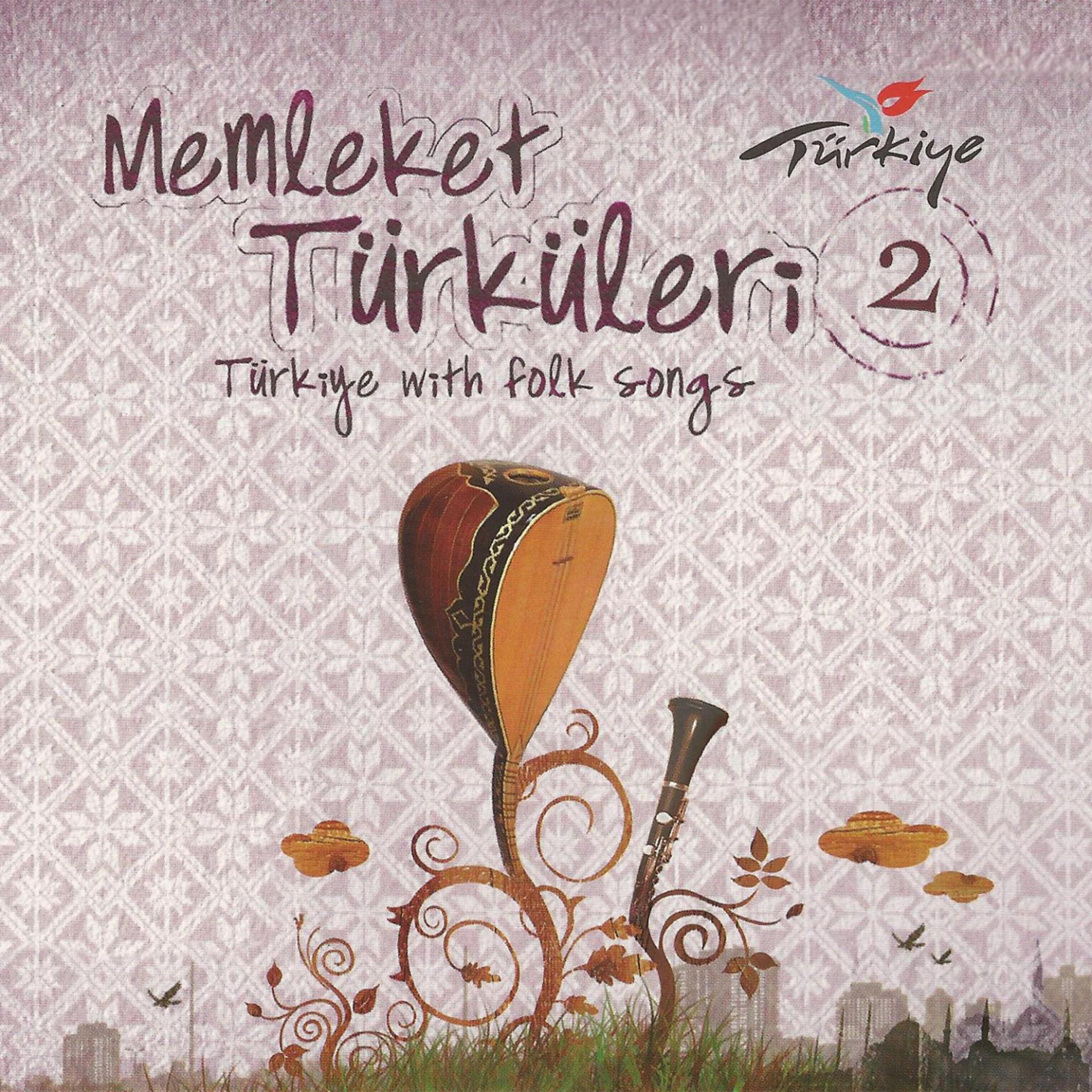 Постер альбома Memleket Türküleri, Vol. 2