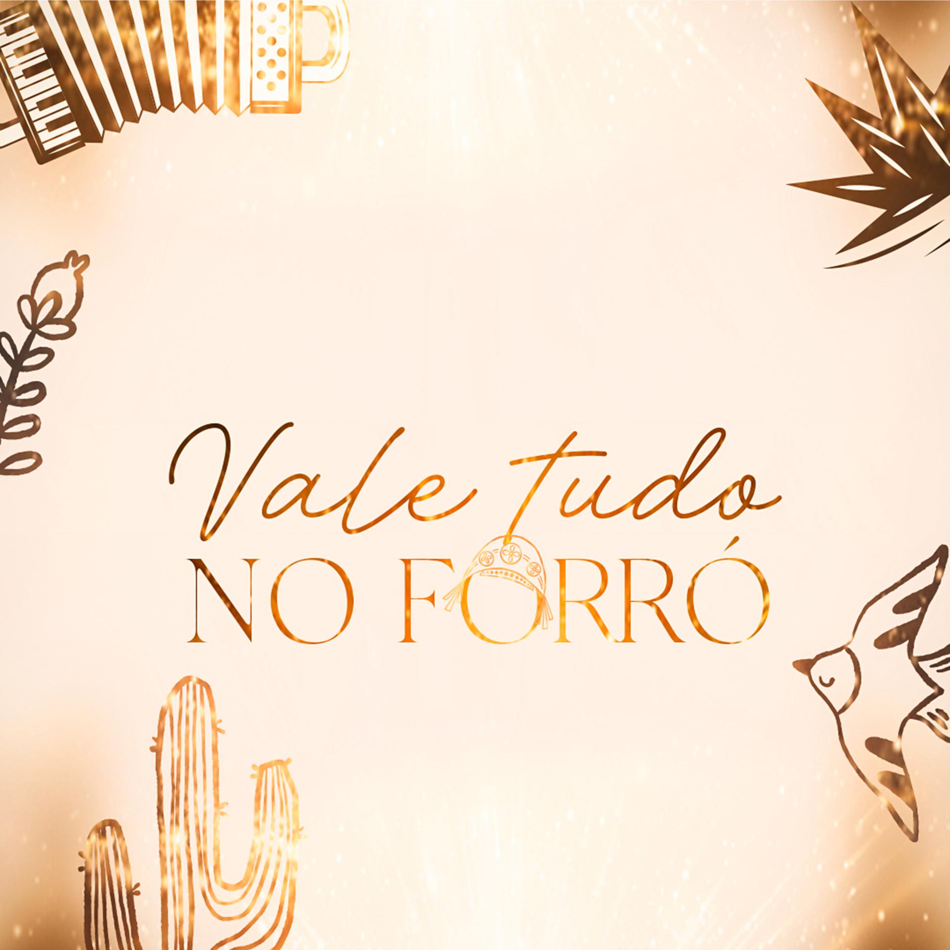 Постер альбома Vale Tudo no Forró