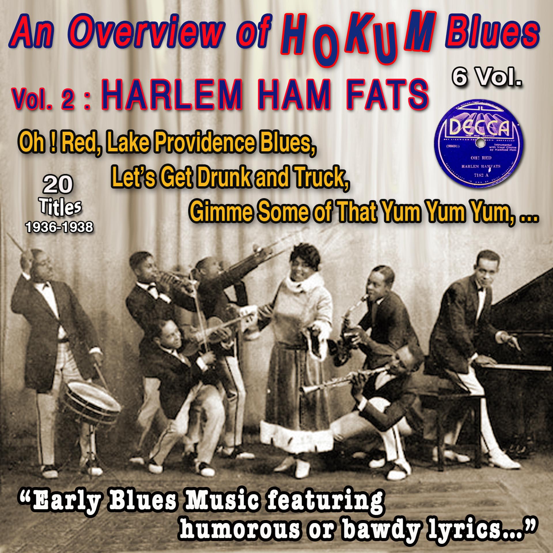 Постер альбома An Overview of Hokum Blues 6 Vol. - Vol. 2 : Harlem Hamfats Early blues music