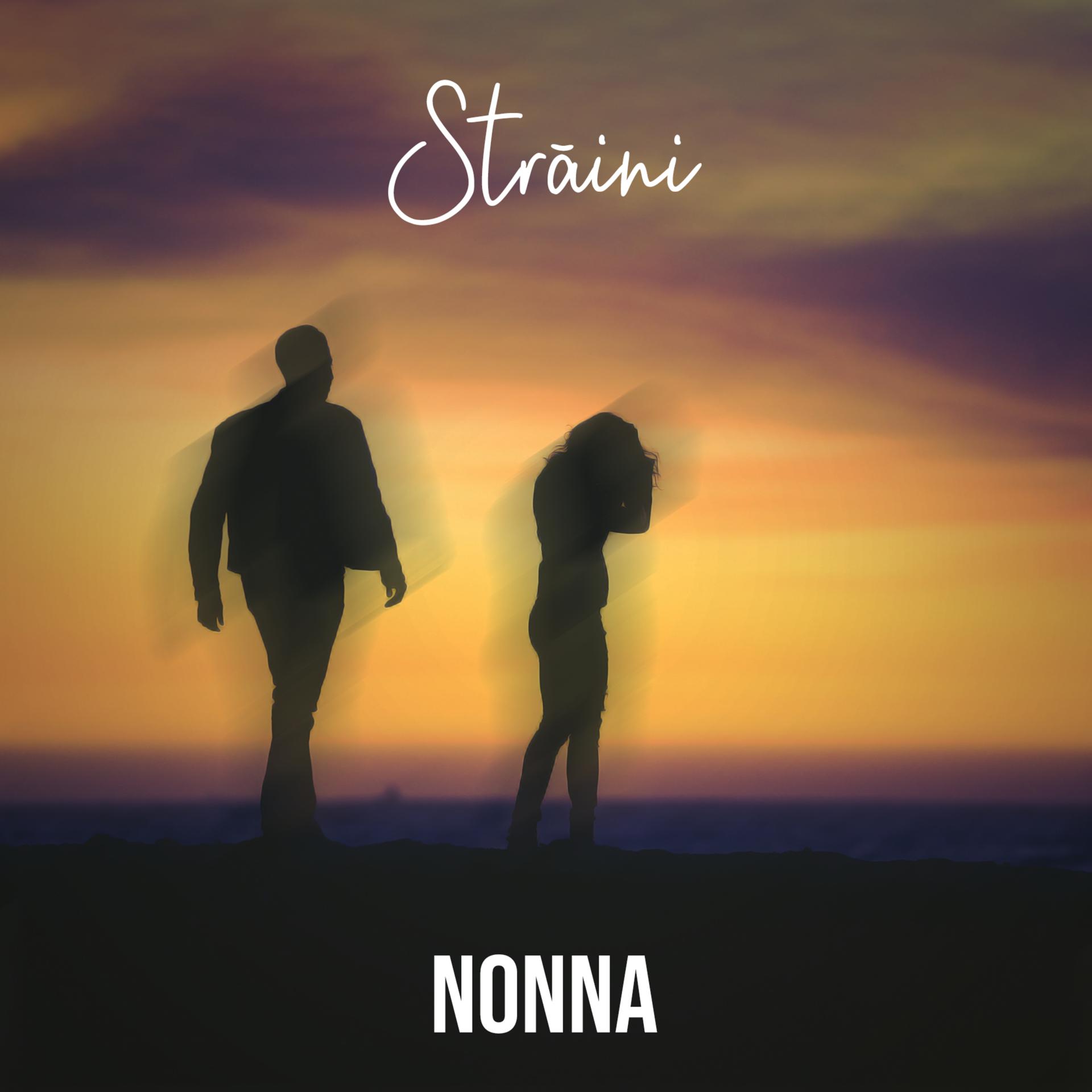 Постер альбома Străini
