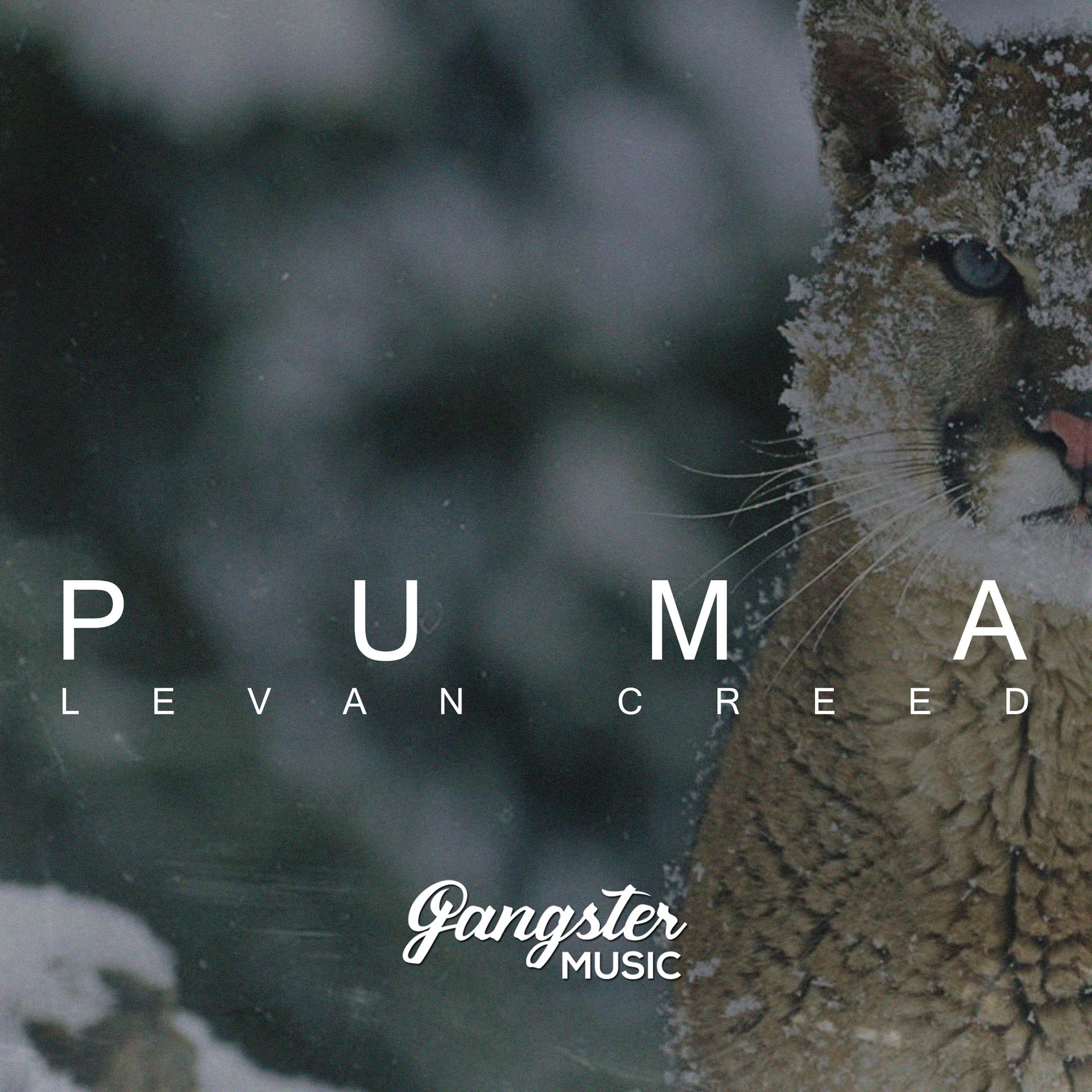Постер альбома Puma