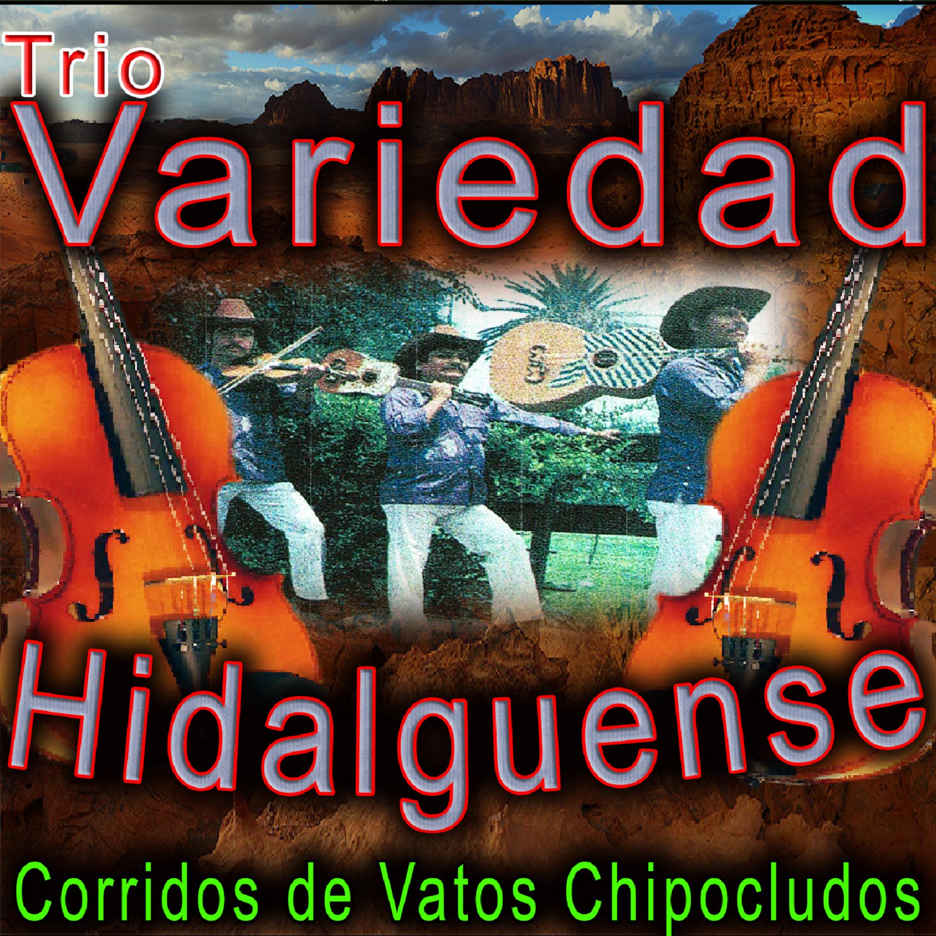 Постер альбома Corridos de Vatos Chipocludos