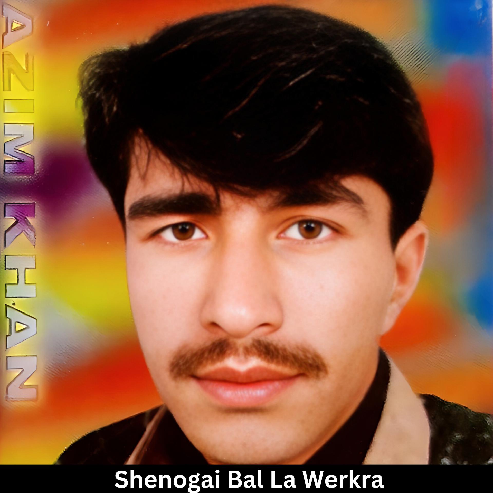 Постер альбома Shenogai Bal La Werkra