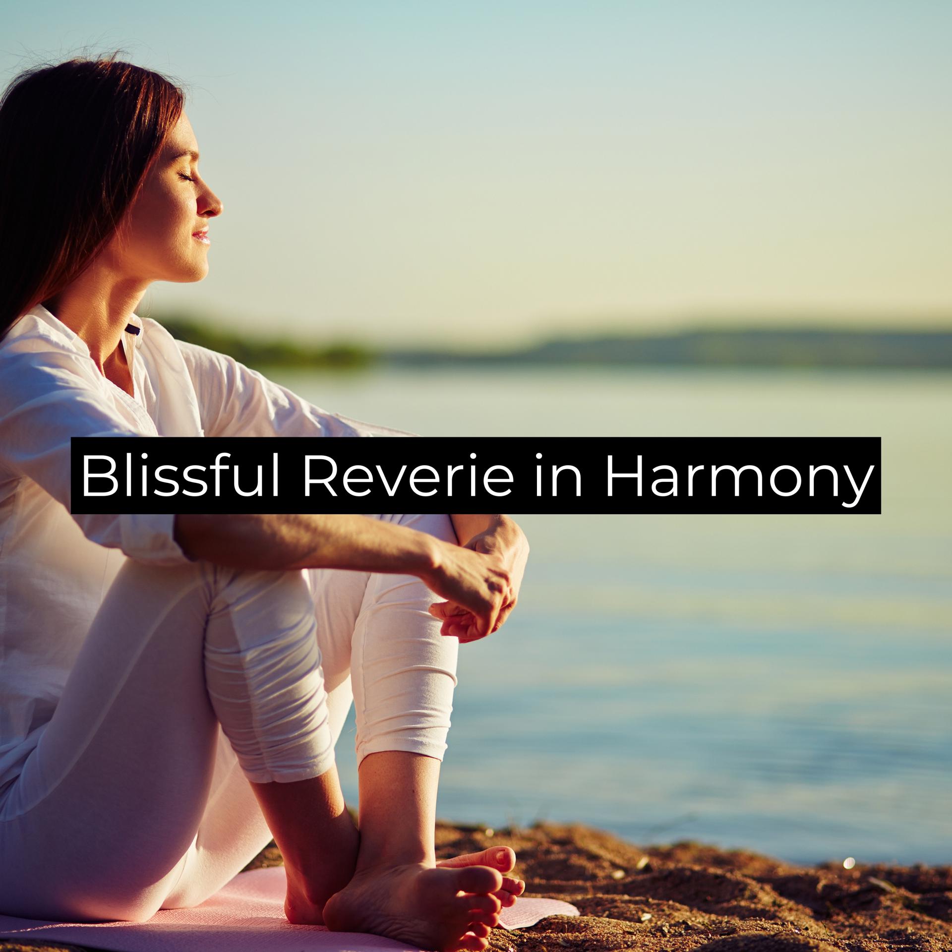 Постер альбома Blissful Reverie in Harmony