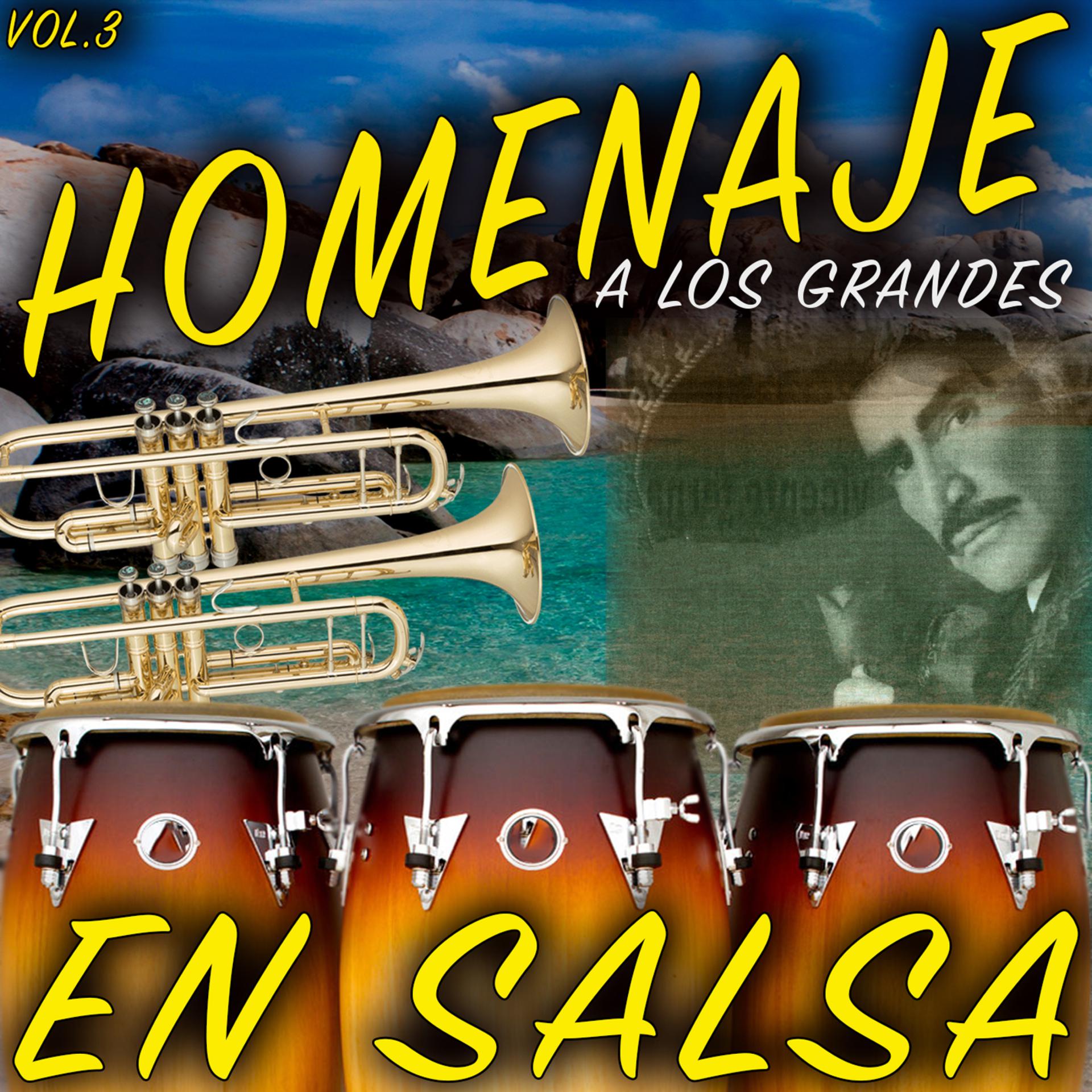 Постер альбома Homenaje a los Grandes en Salsa  (Vol.3)