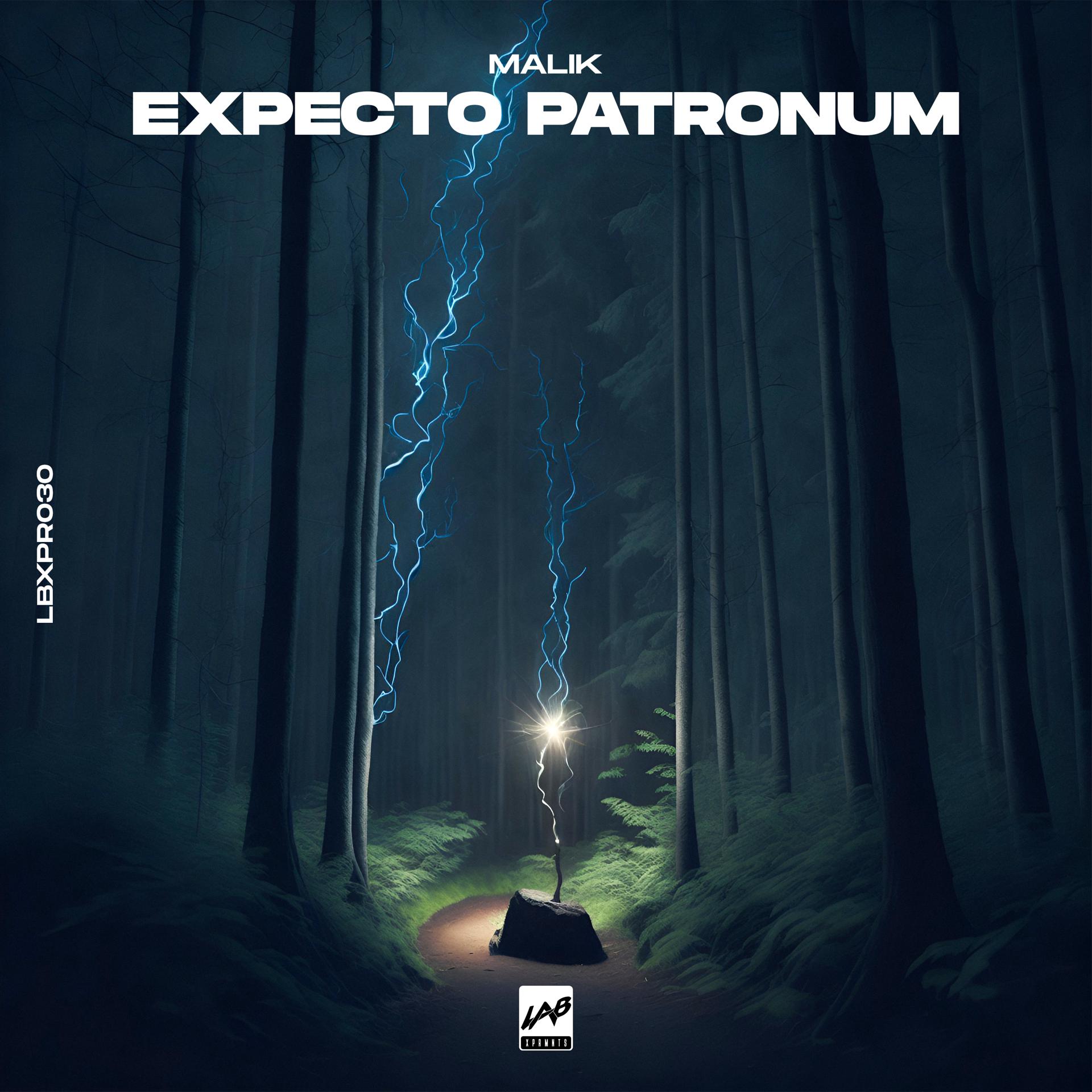 Постер альбома Expecto Patronum