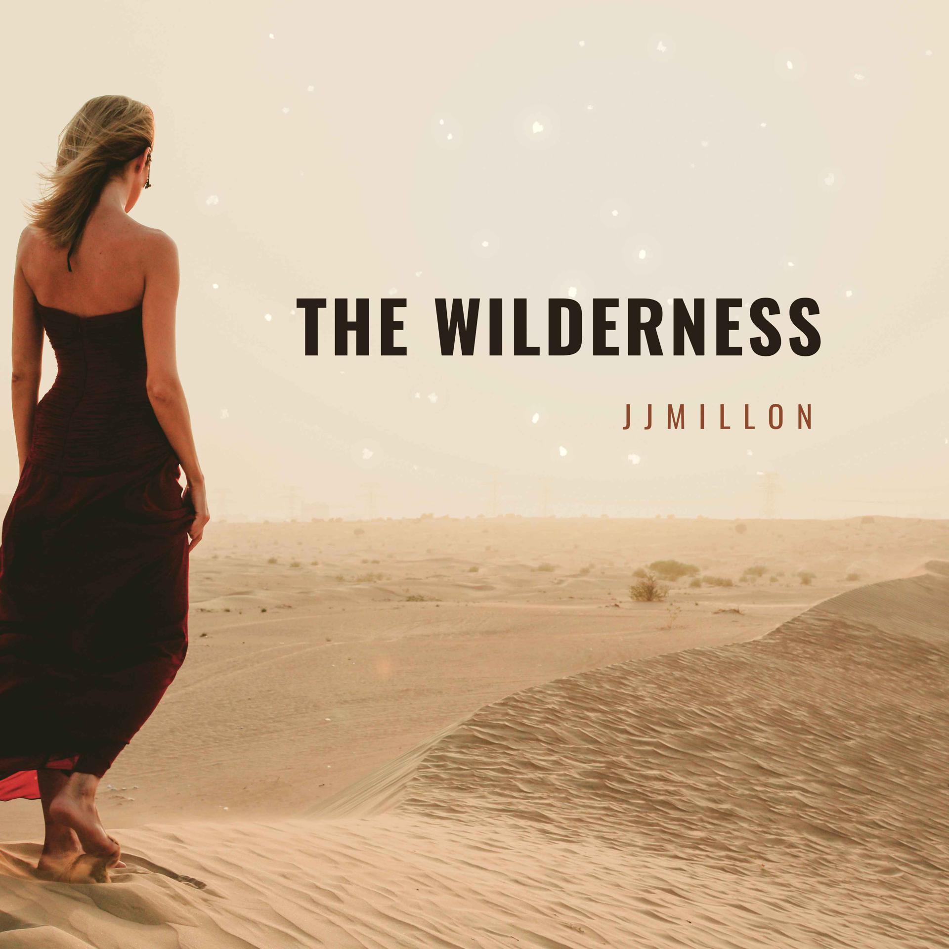 Постер альбома The Wilderness