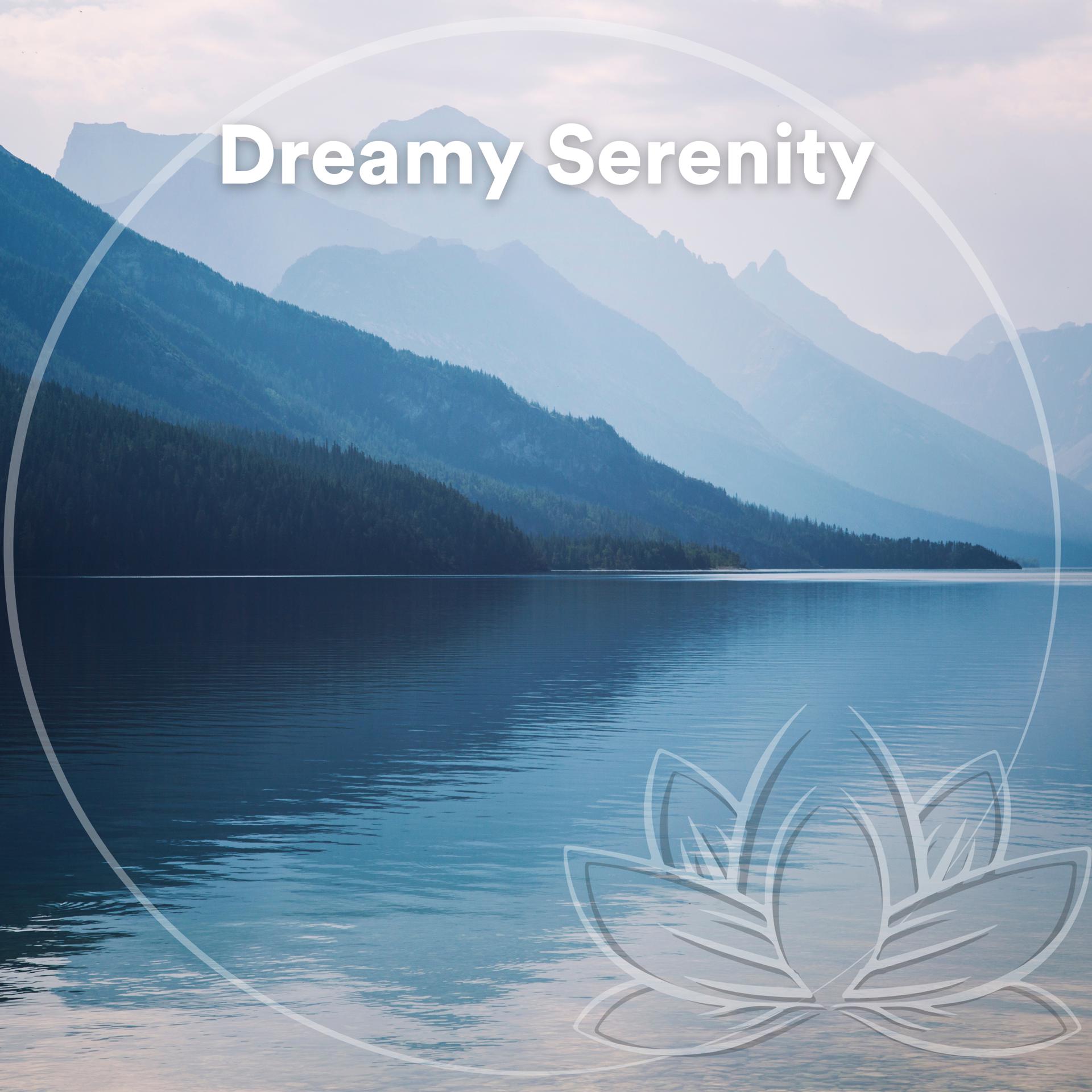 Постер альбома Dreamy Serenity