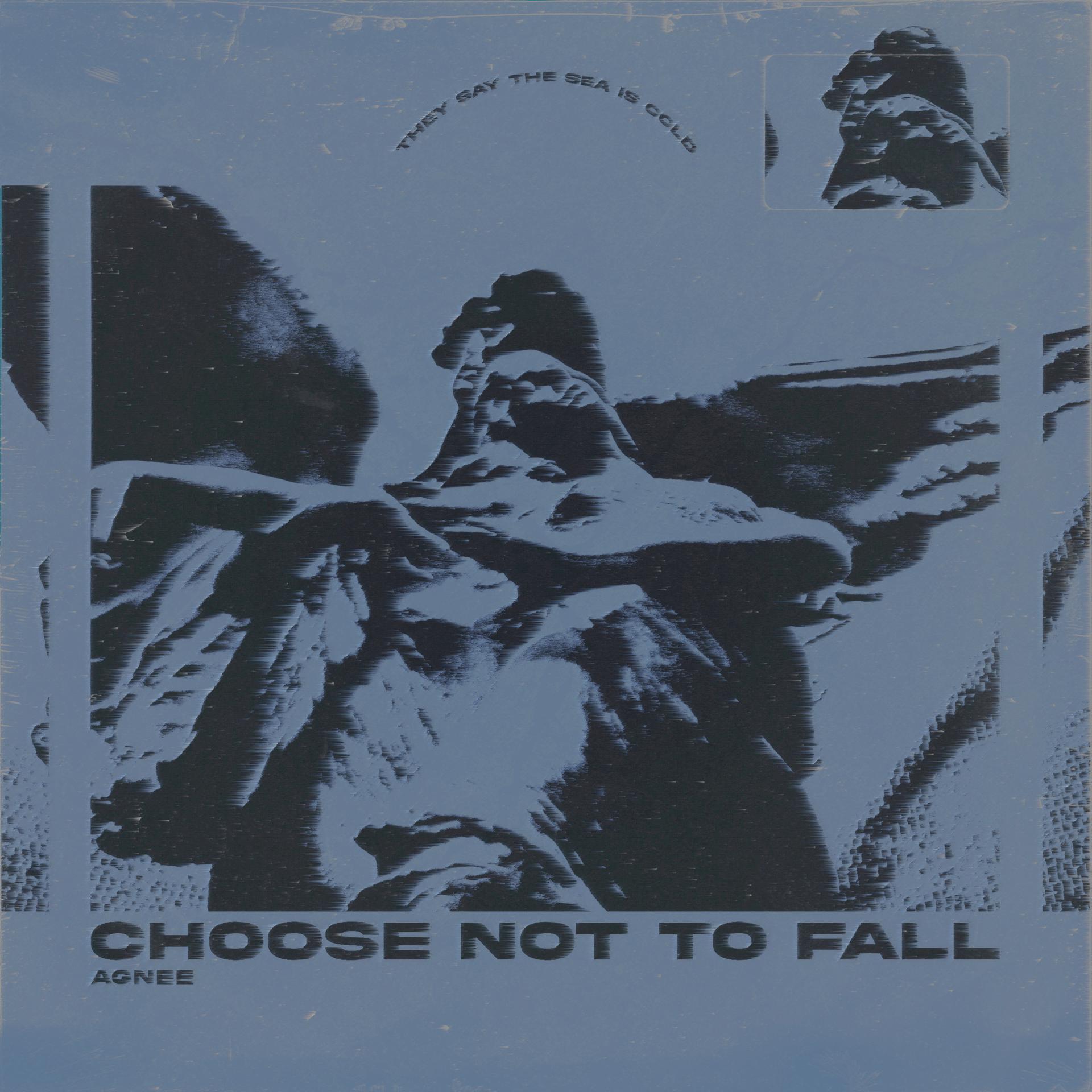 Постер альбома Choose Not to Fall