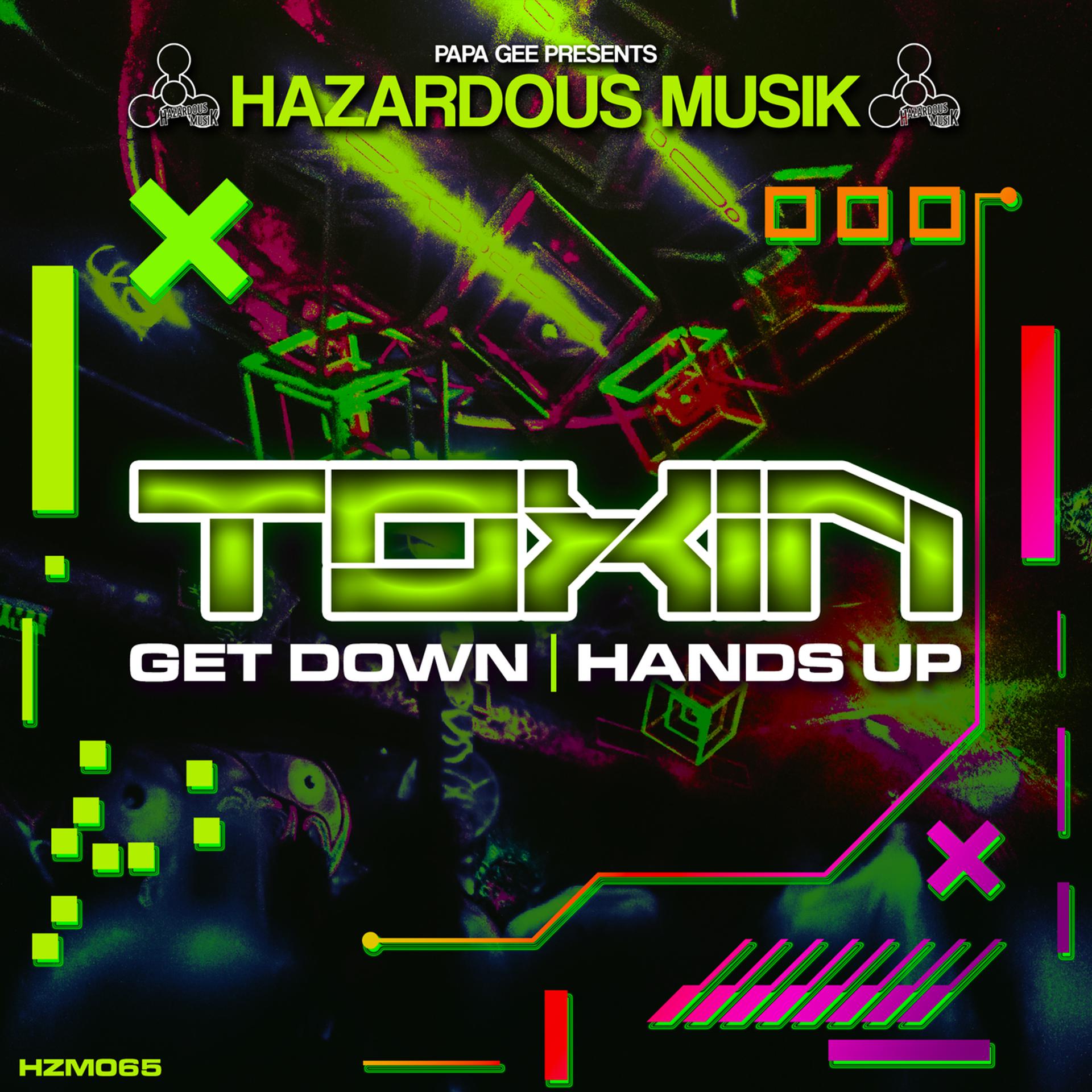 Постер альбома Get Down/Hands Up