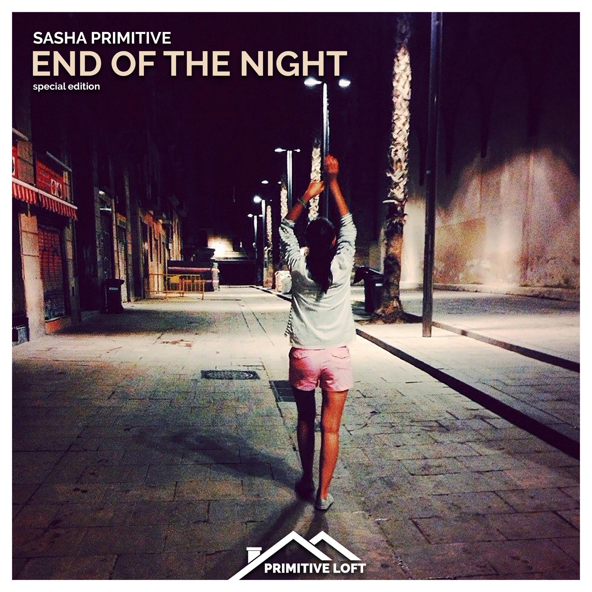 Постер альбома End of the Night (Special Edition)