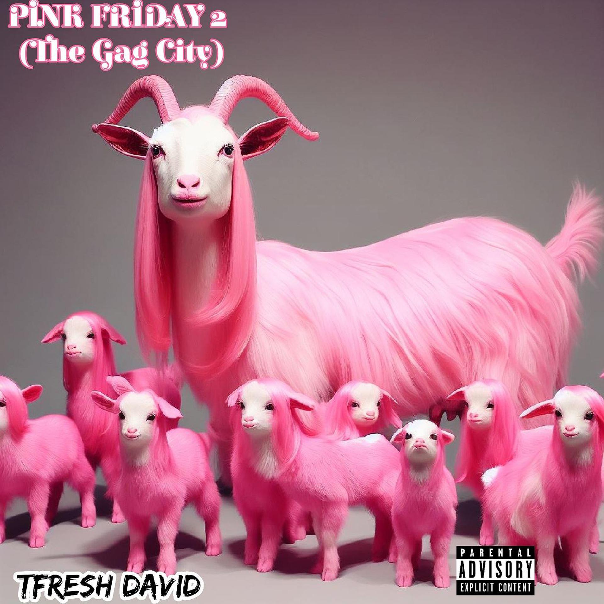 Постер альбома Pink Friday 2 (The Gag City)