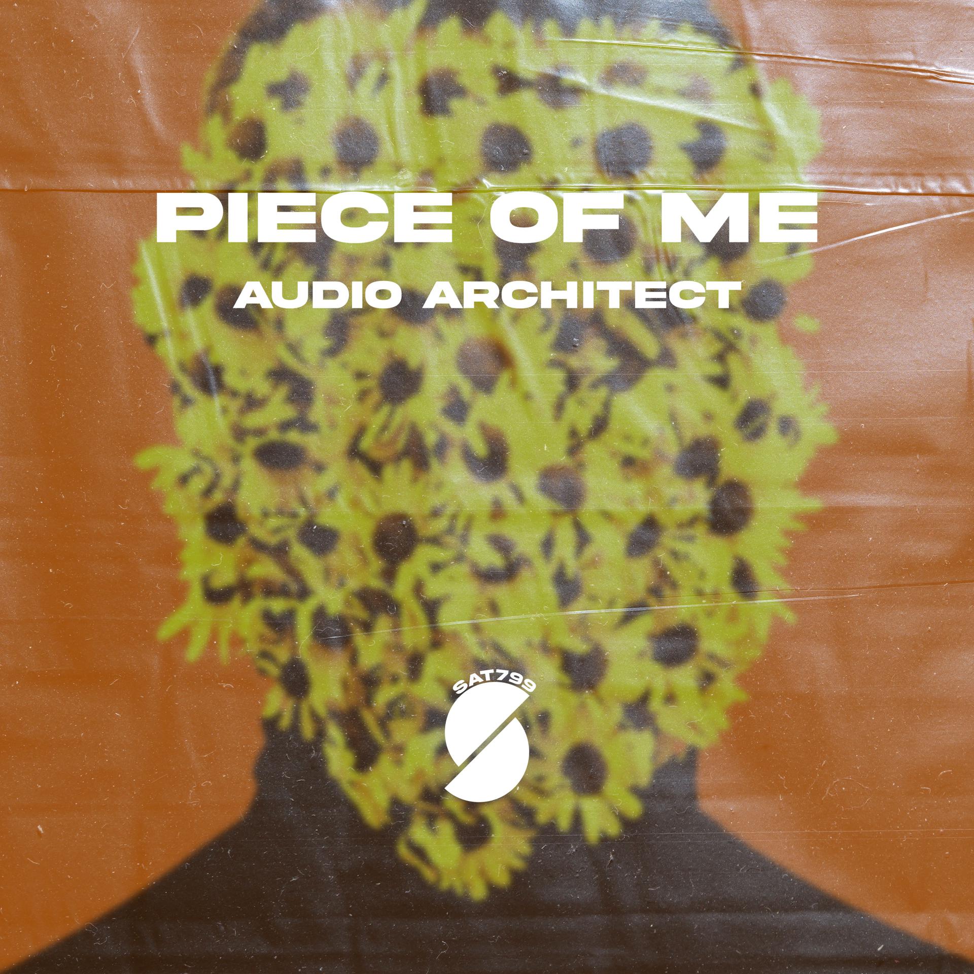 Постер альбома Piece Of Me