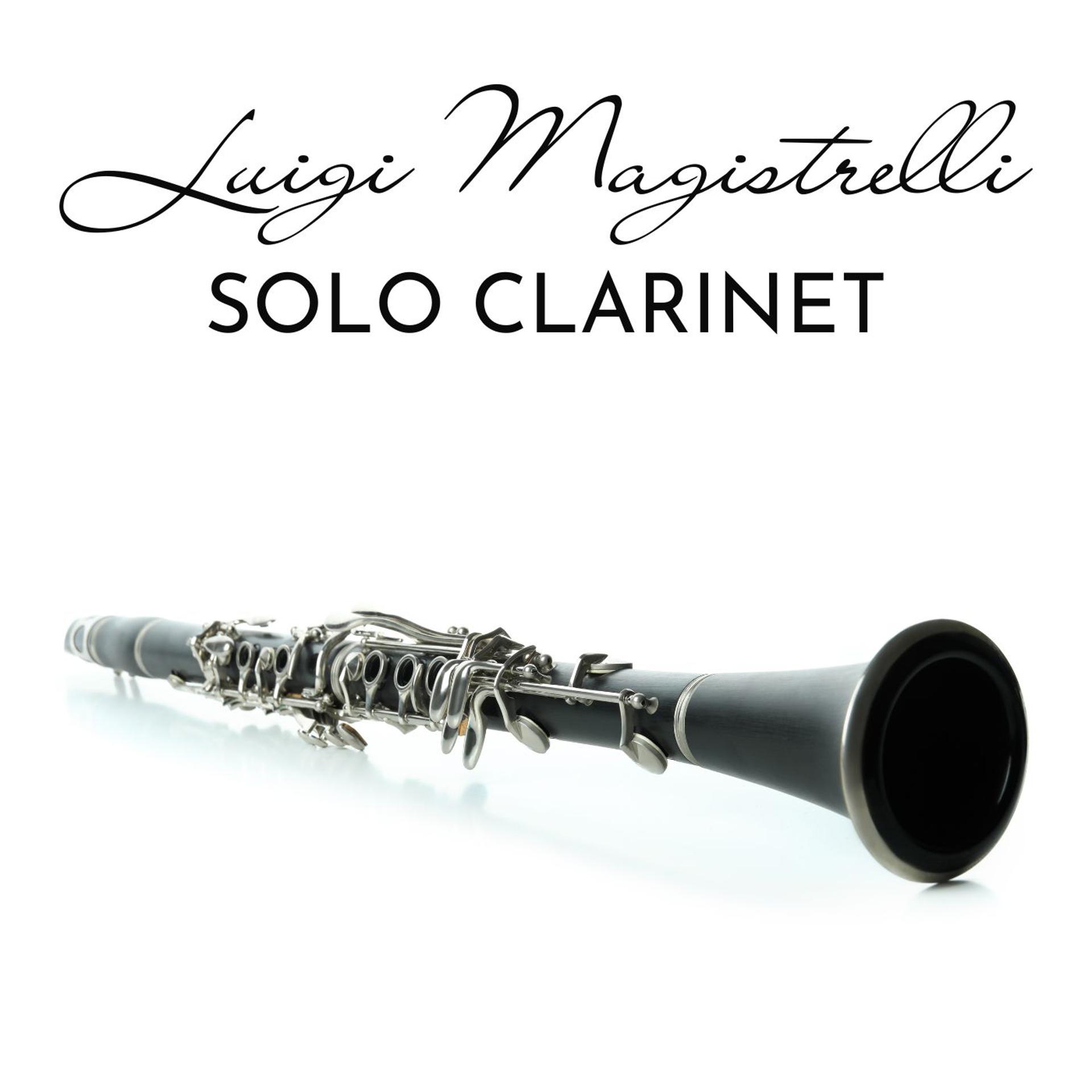 Постер альбома Solo clarinet
