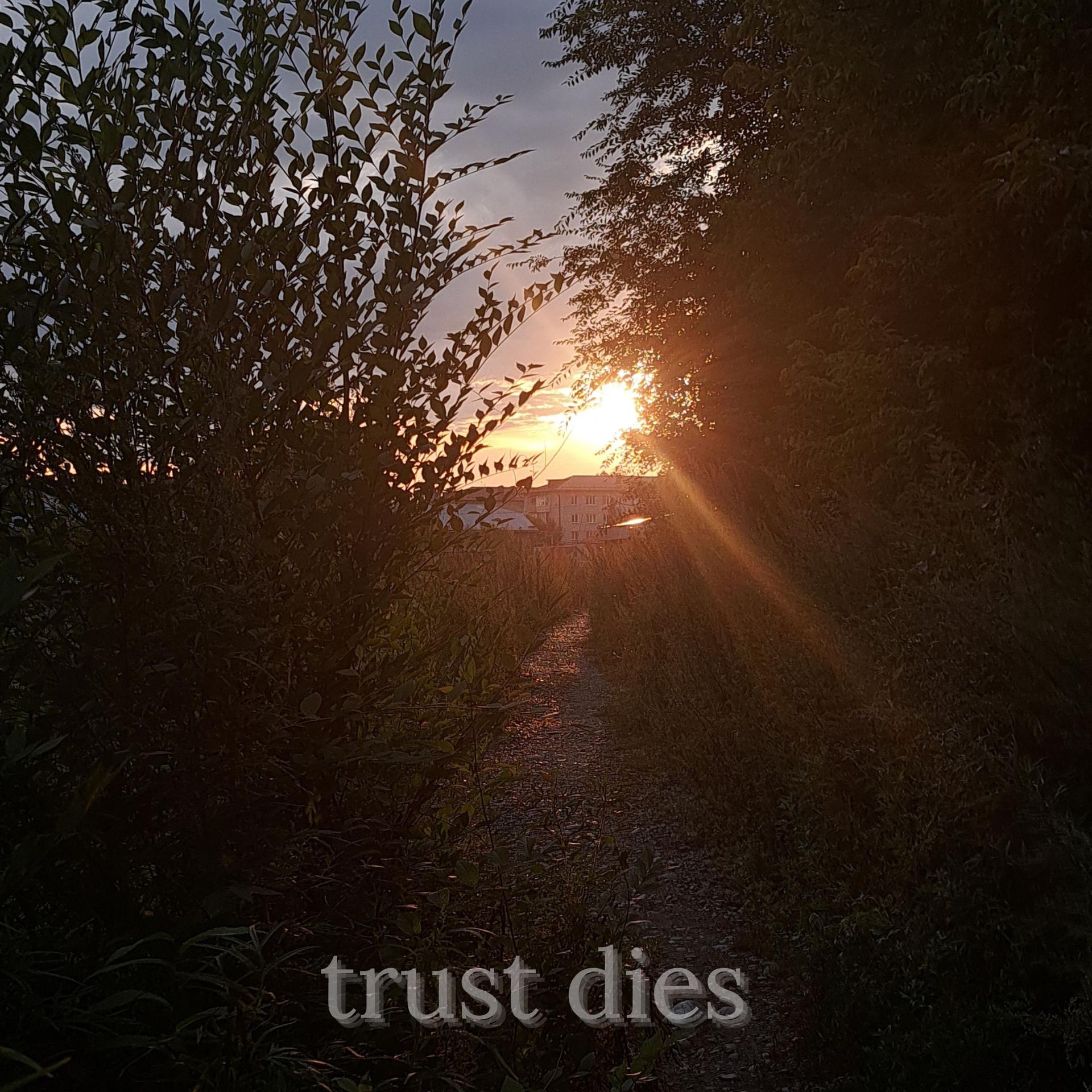 Постер альбома trust dies