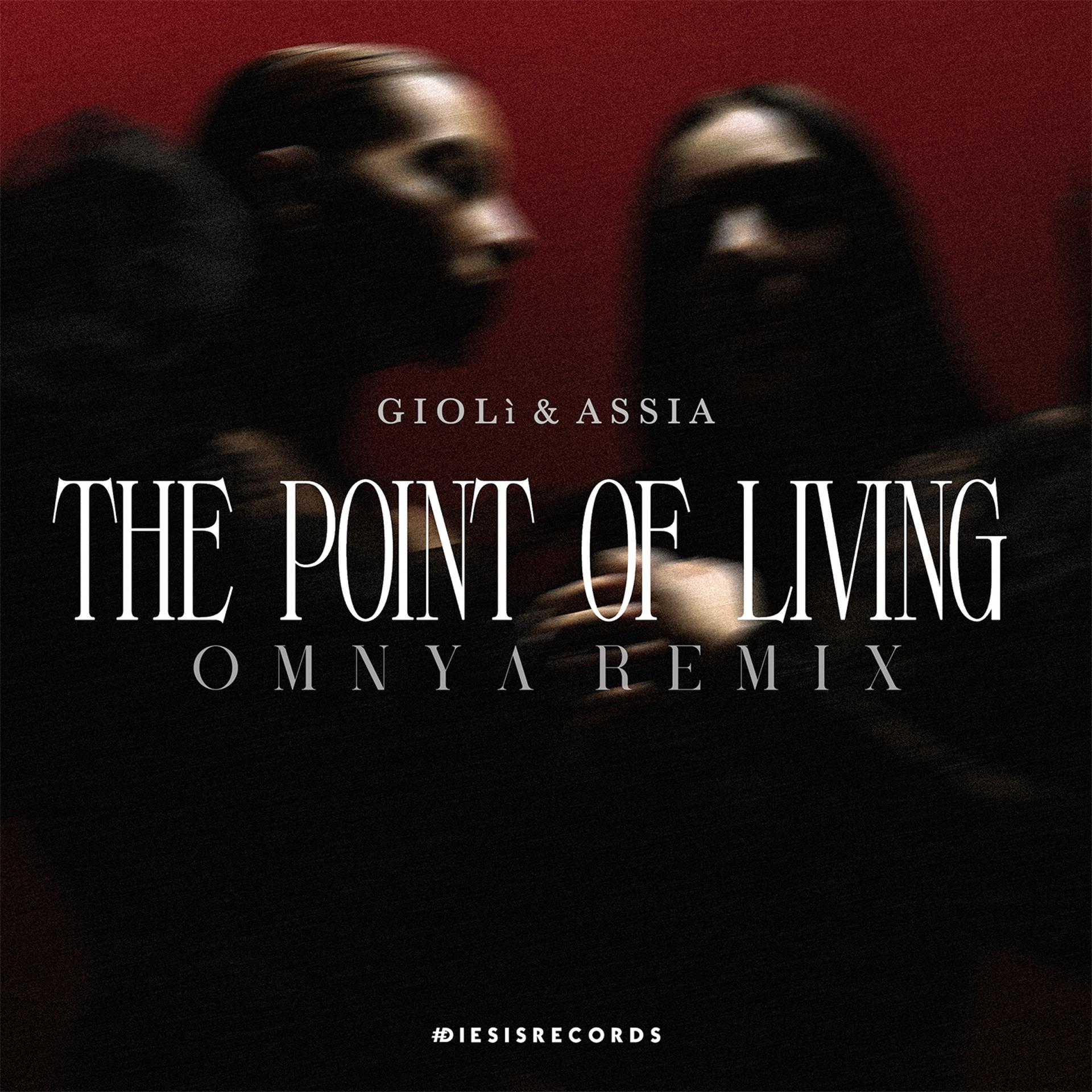 Постер альбома The Point Of Living (Omnya Remix)