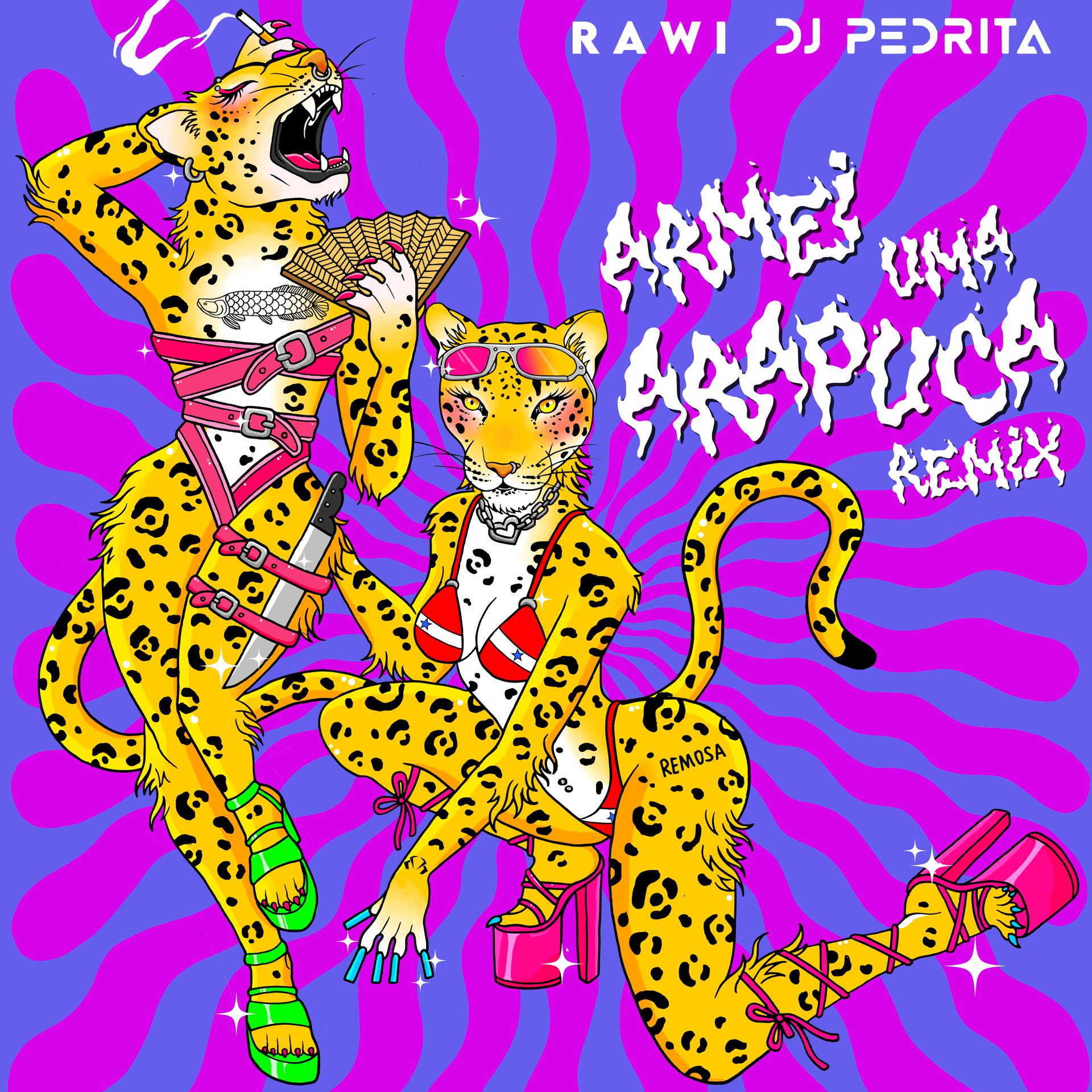 Постер альбома Armei uma Arapuca (Remix)