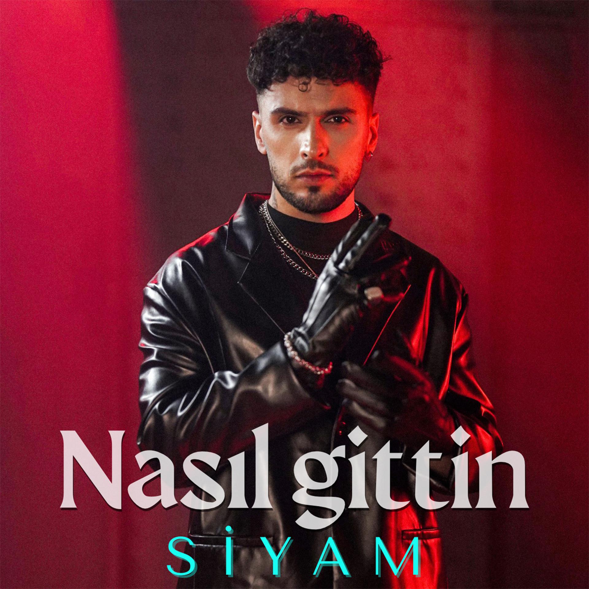 Постер альбома Nasıl Gittin