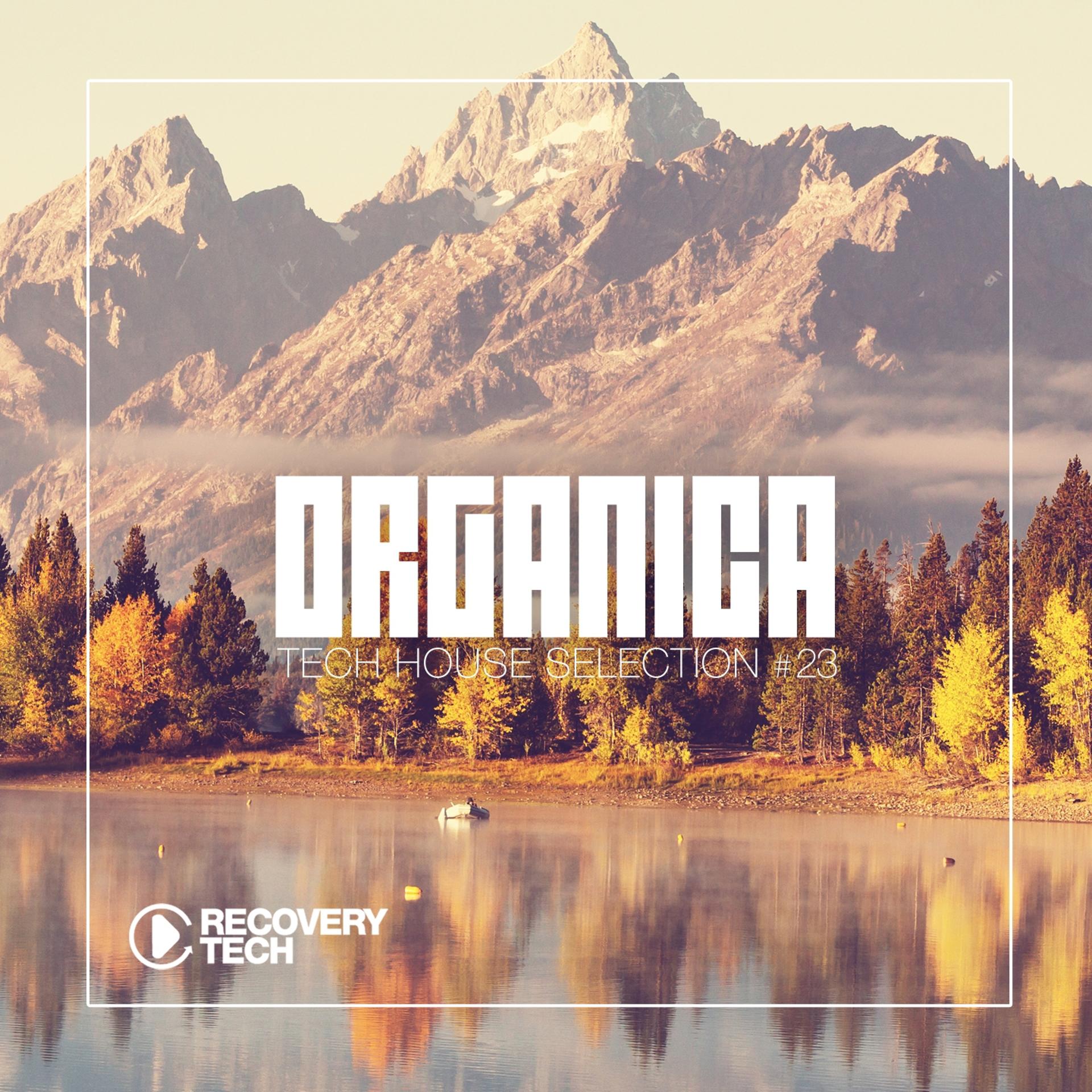 Постер альбома Organica #23