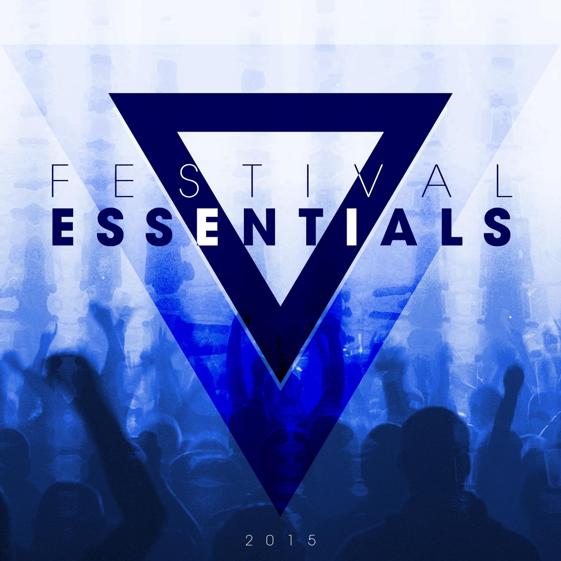 Постер альбома Festival Essentials 2015