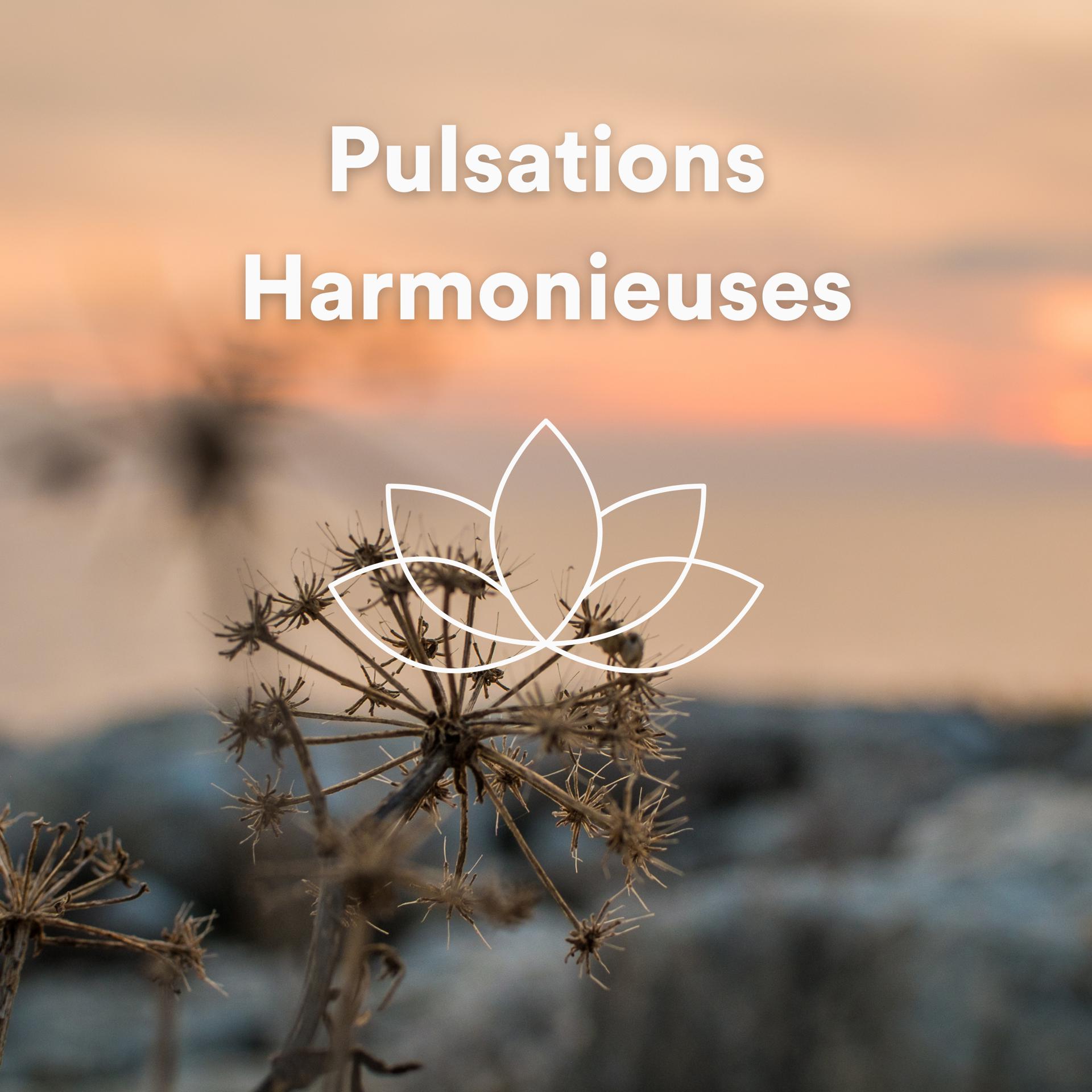 Постер альбома Pulsations Harmonieuses
